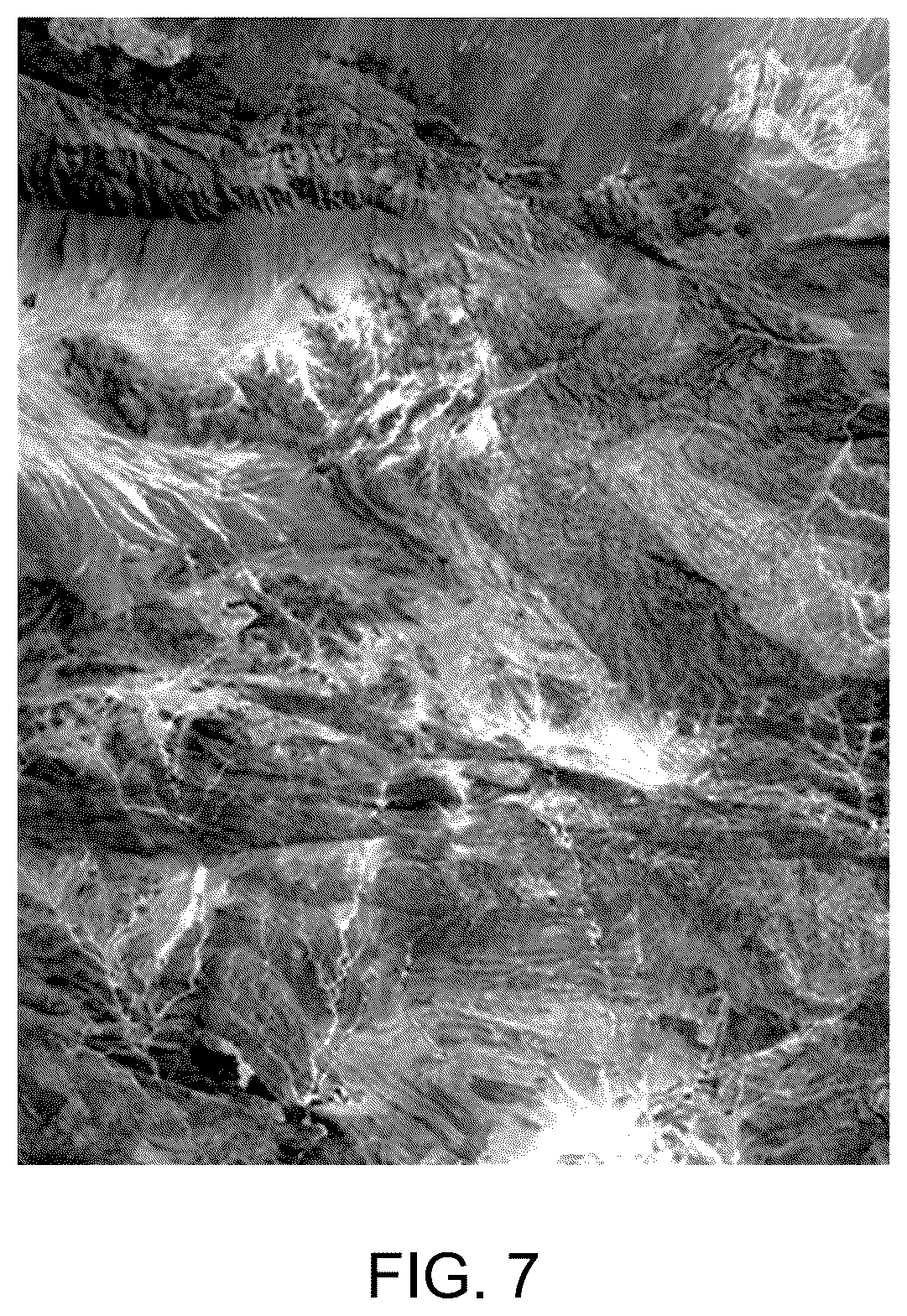 Patent US12315251 Figure 5 – Method for processing hyperspectral images