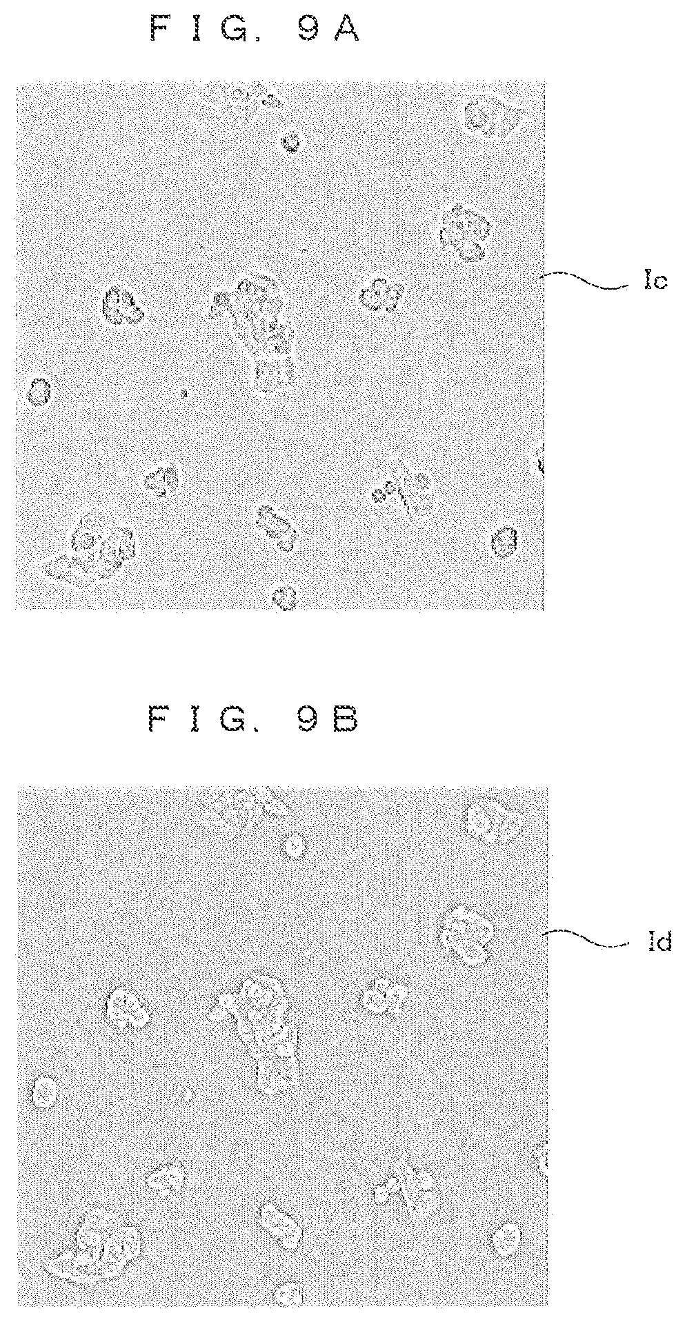 Patent US12315275 Figure 8 – Image processing method and classification model construction method