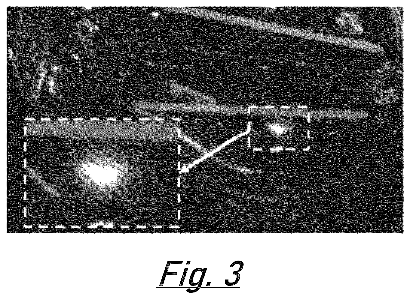 Patent US12315289 Figure 2 – Latent print extraction apparatus and method