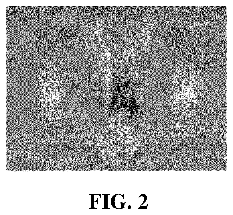 Patent US12315298 Figure 2 – Action recognition method