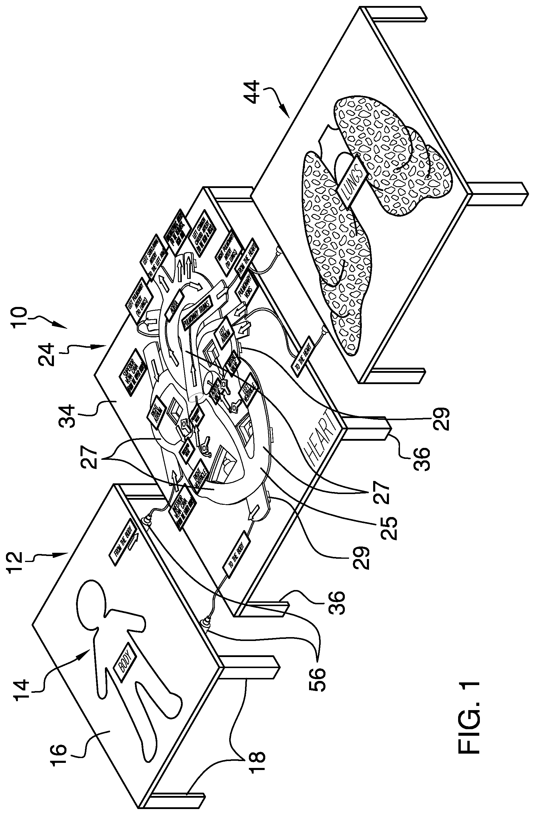 Patent US12315389 Figure 1 – Anatomy education assembly