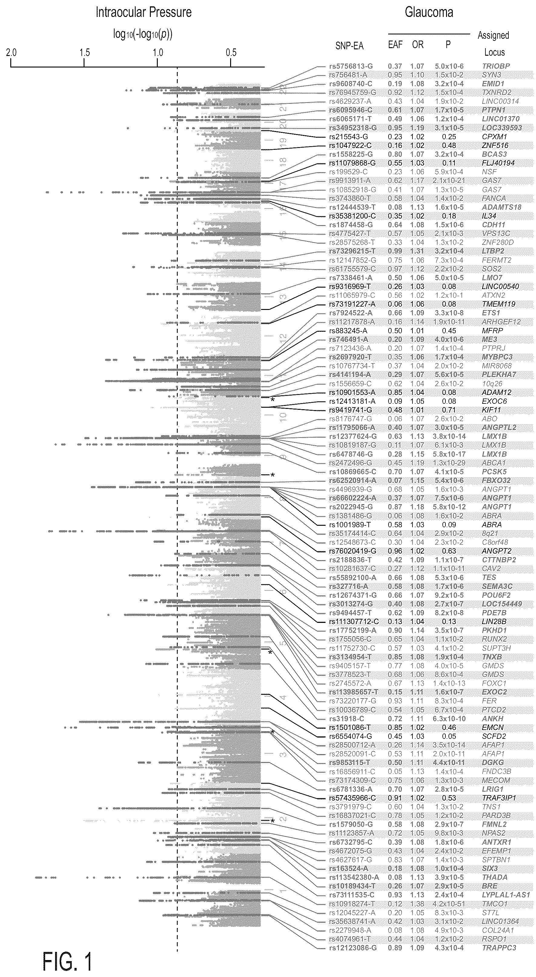 Patent US12315597 Figure 1 – Methods and systems for assessing the risk of glaucoma