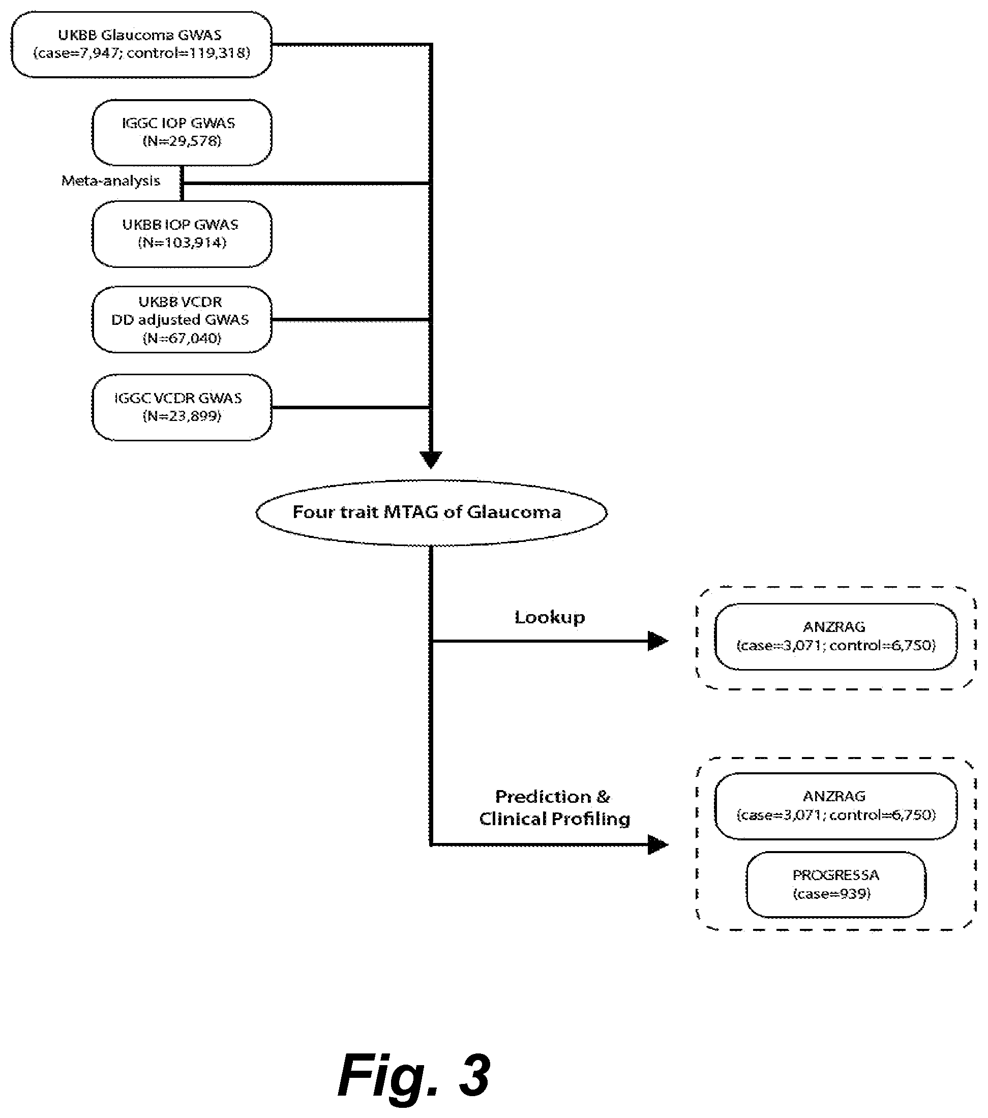 Patent US12315597 Figure 4 – Methods and systems for assessing the risk of glaucoma