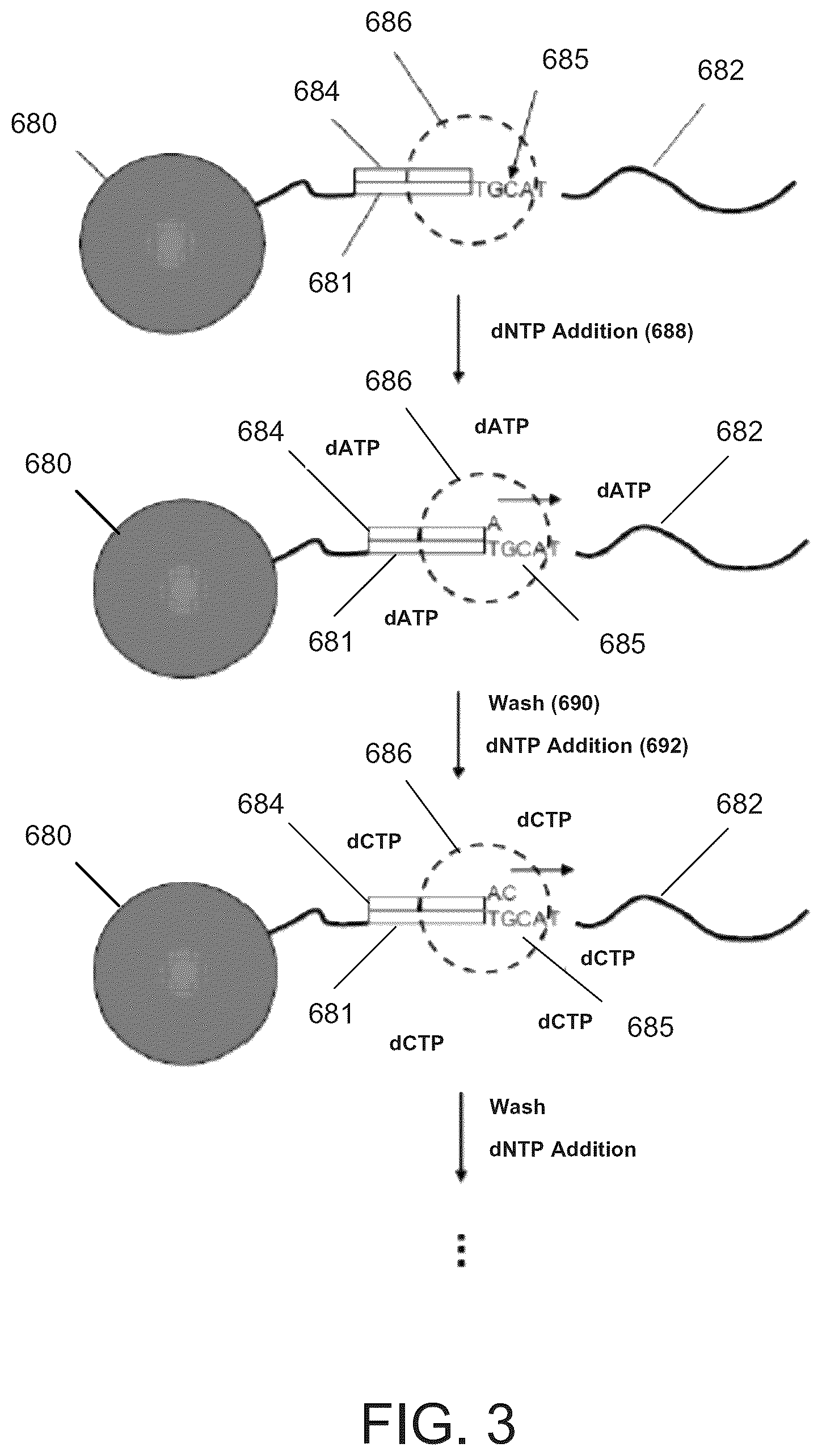 Patent US12315598 Figure 3 – Barcode sequences, and related systems and methods