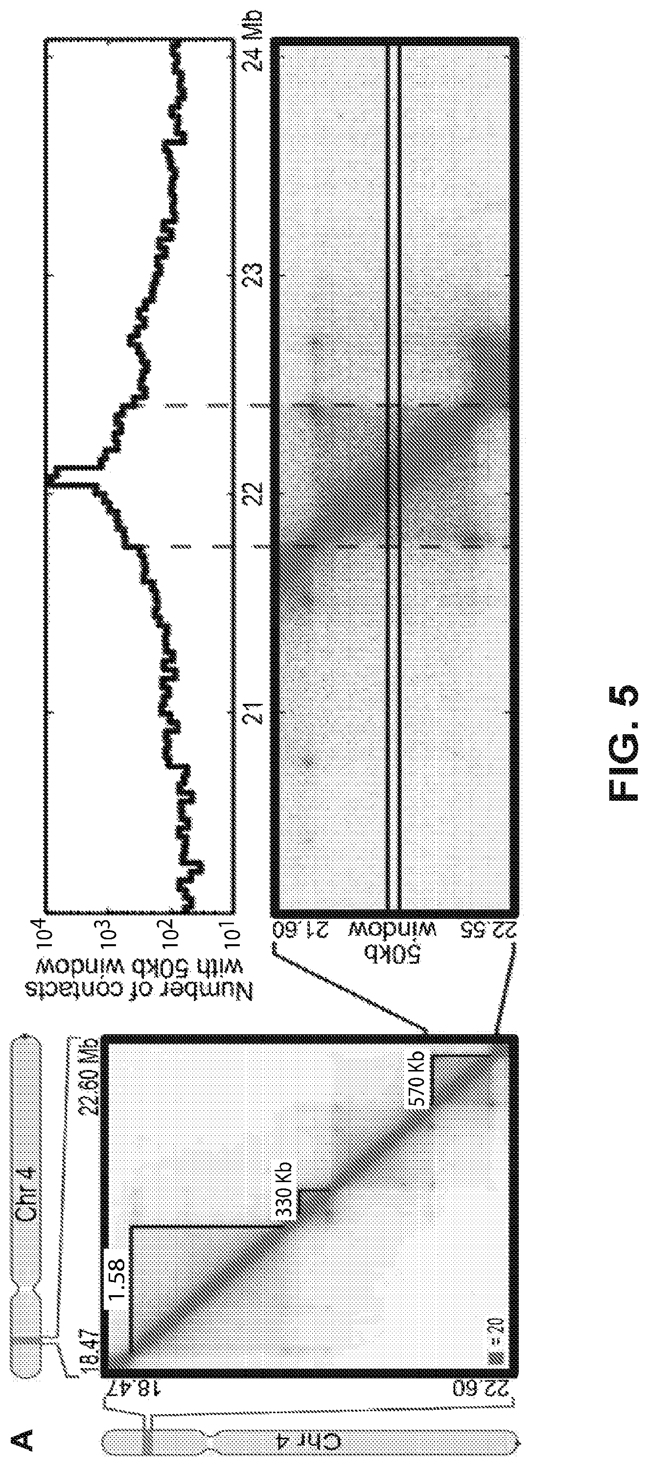Patent US12315601 Figure 5 – Linear genome assembly from three dimensional genome structure