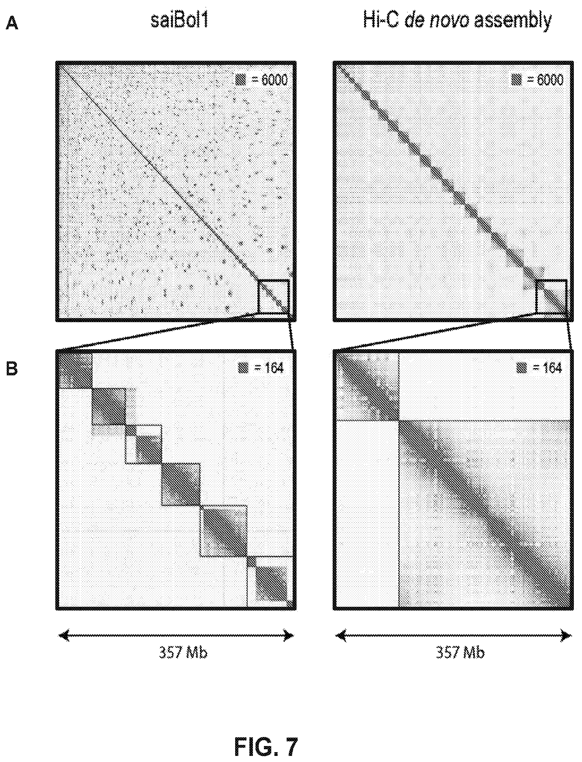 Patent US12315601 Figure 7 – Linear genome assembly from three dimensional genome structure