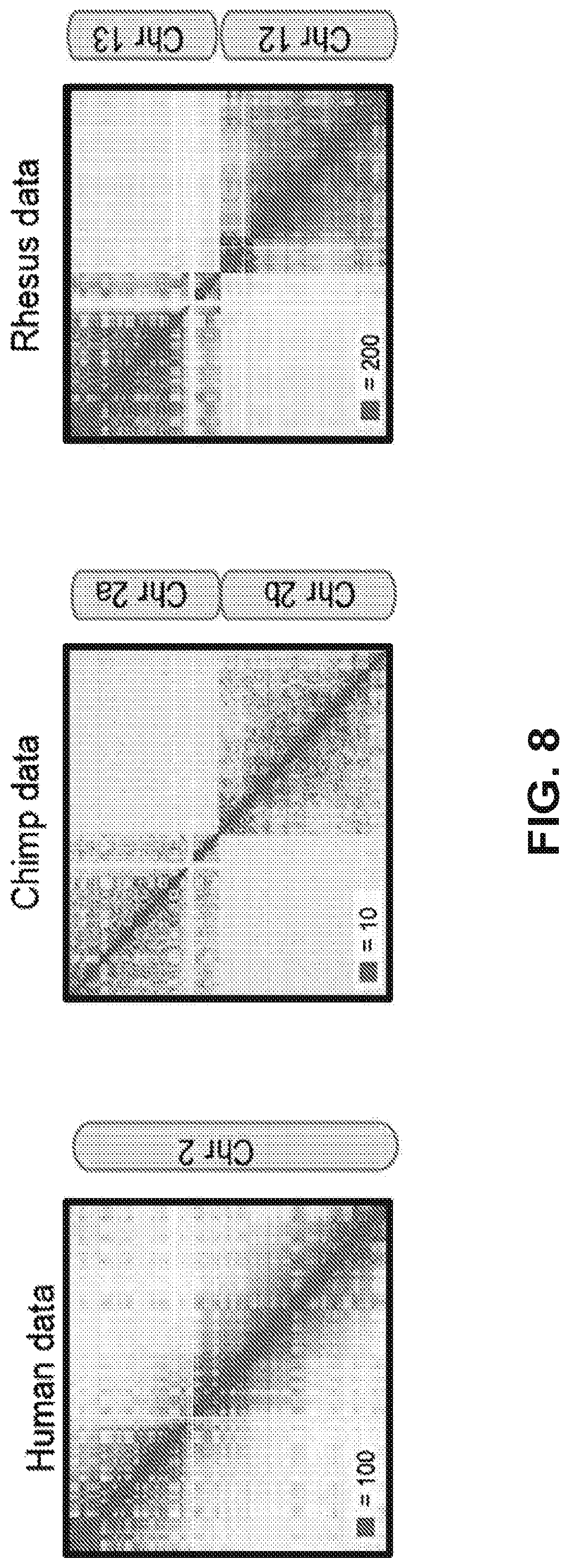 Patent US12315601 Figure 8 – Linear genome assembly from three dimensional genome structure