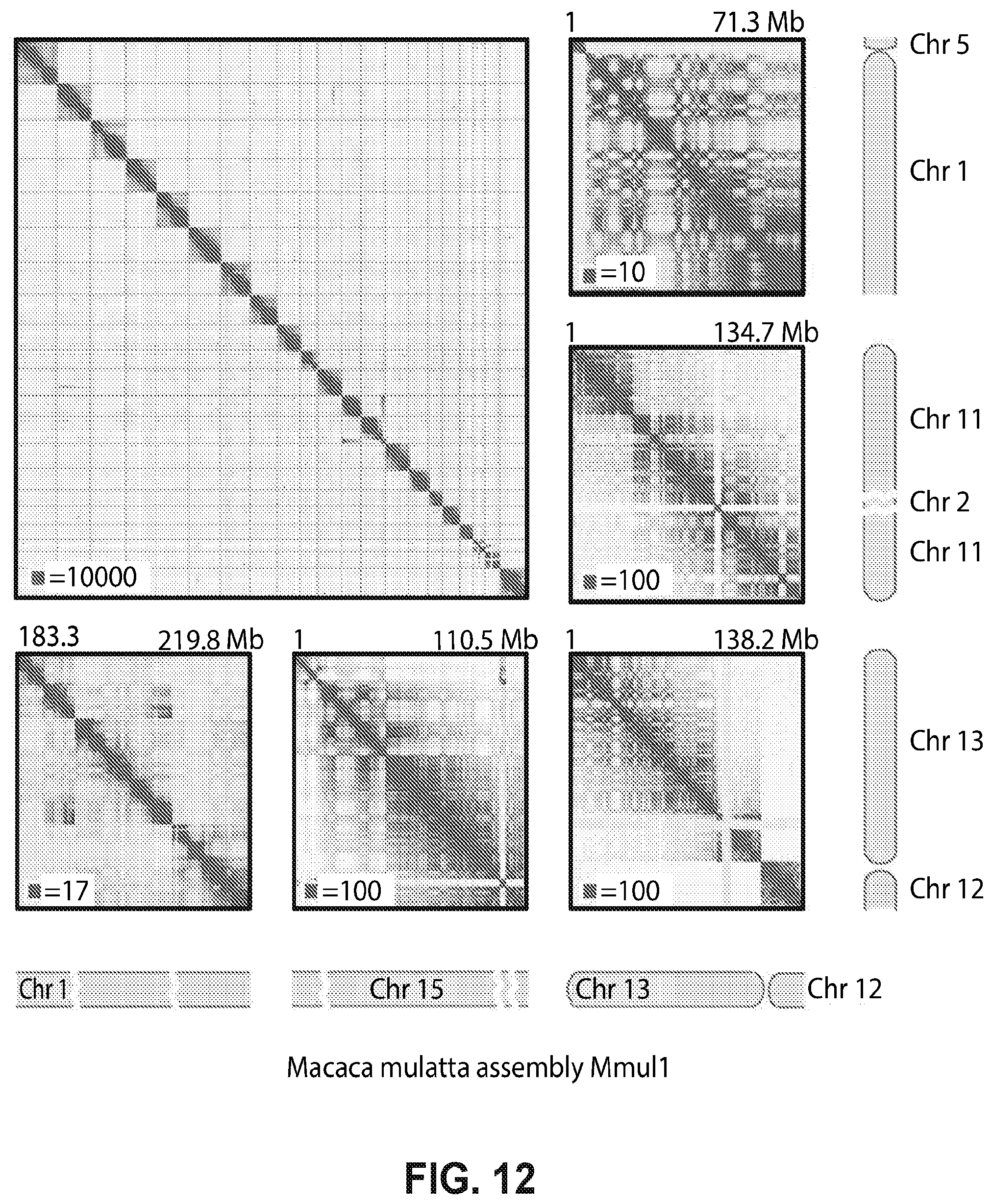 Patent US12315601 Figure 12 – Linear genome assembly from three dimensional genome structure