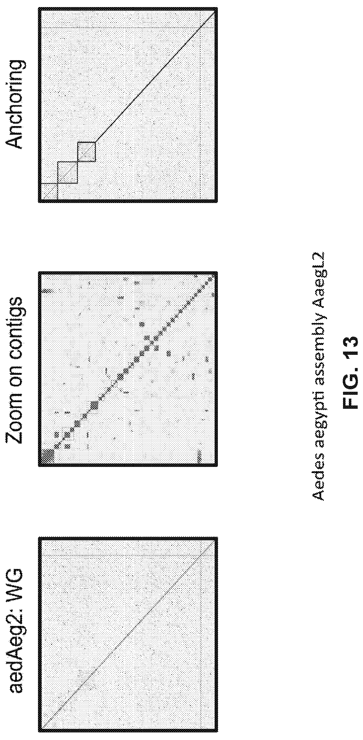 Patent US12315601 Figure 13 – Linear genome assembly from three dimensional genome structure