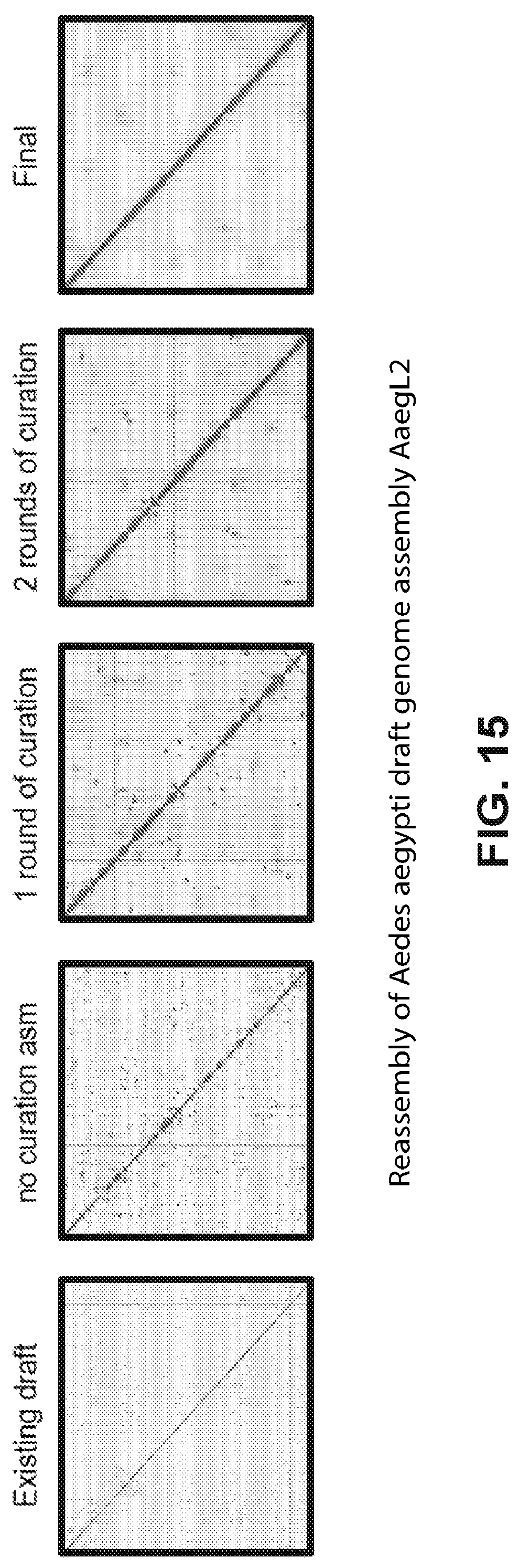 Patent US12315601 Figure 15 – Linear genome assembly from three dimensional genome structure