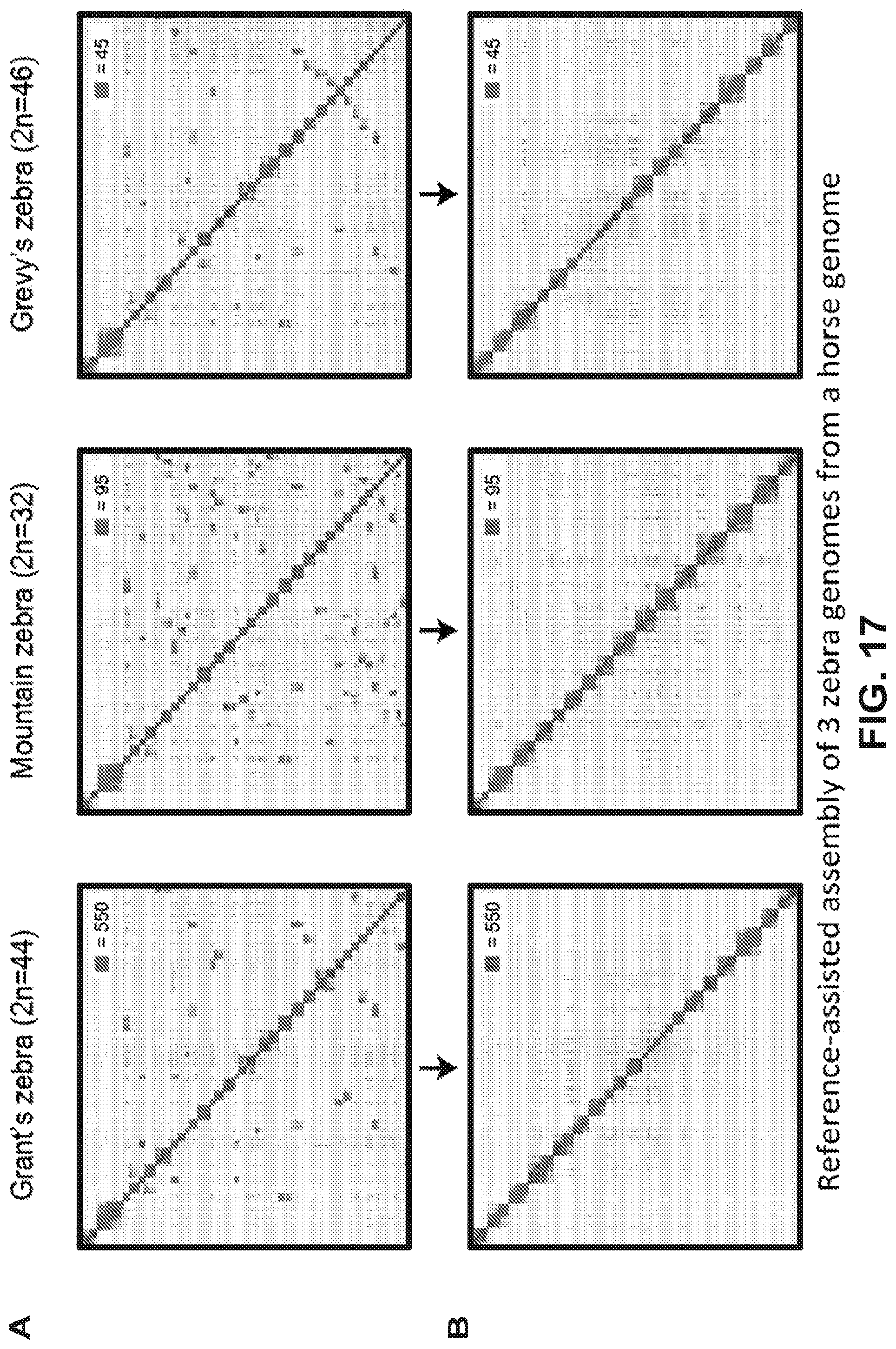 Patent US12315601 Figure 17 – Linear genome assembly from three dimensional genome structure