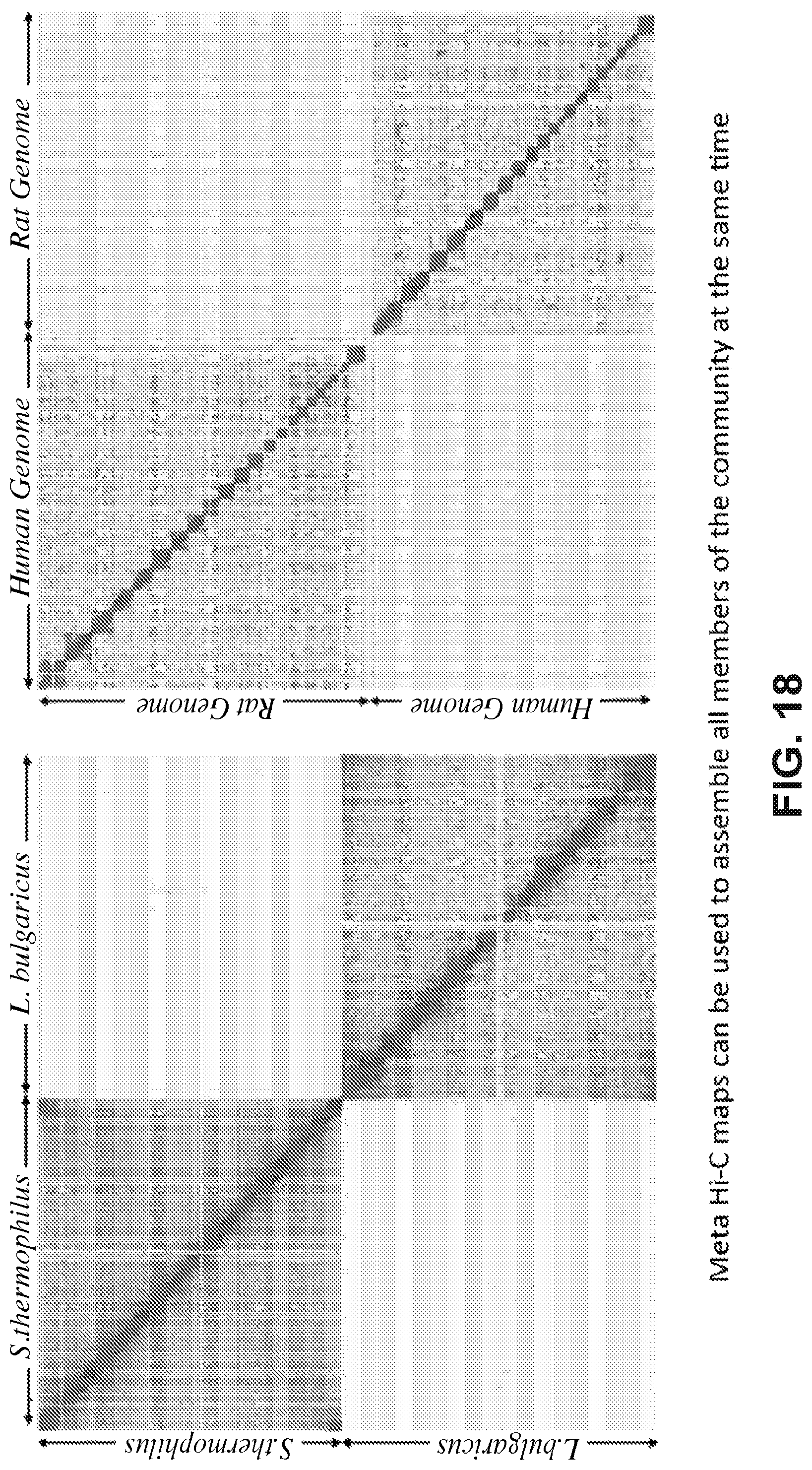 Patent US12315601 Figure 18 – Linear genome assembly from three dimensional genome structure
