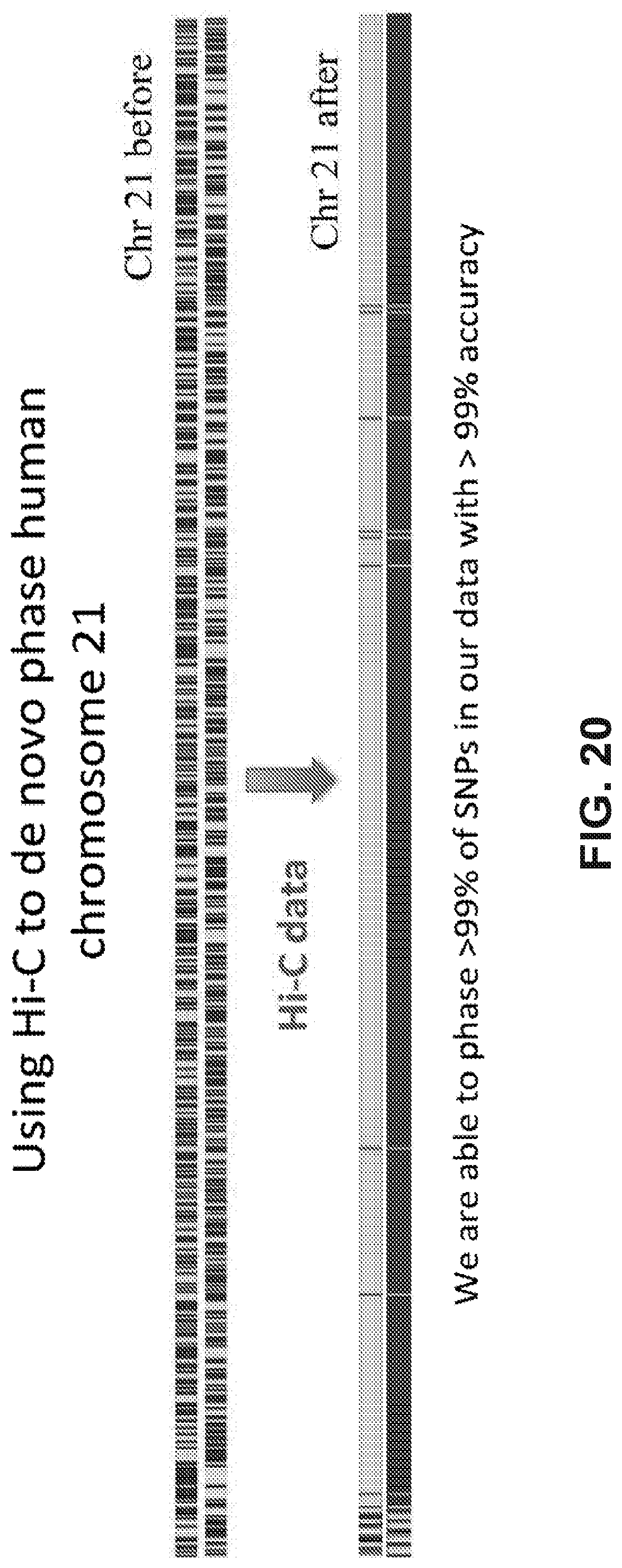 Patent US12315601 Figure 20 – Linear genome assembly from three dimensional genome structure