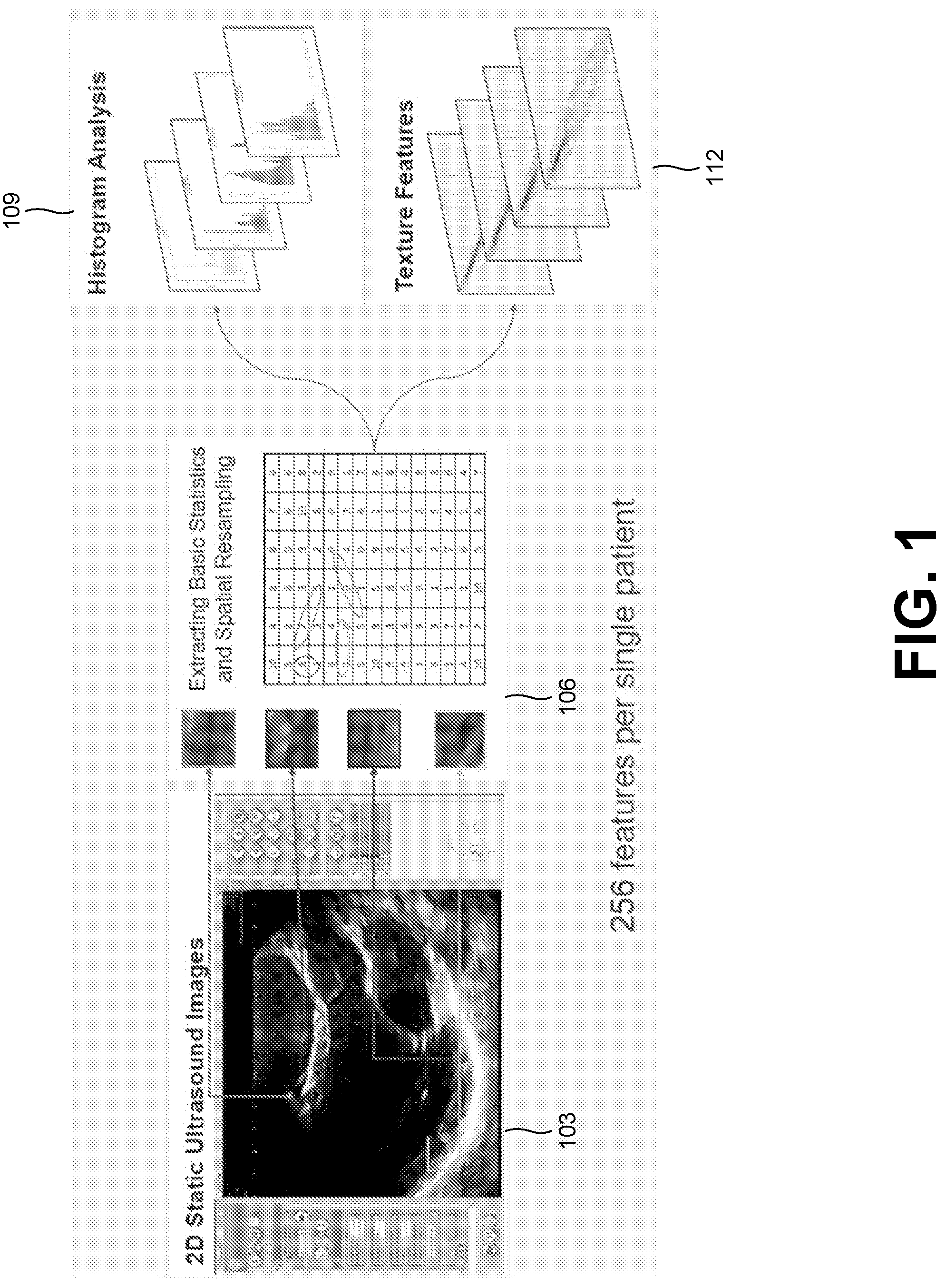 Patent US12315621 Figure 1 – Cardiac ultrasonic fingerprinting: an approach for highthroughput myocardial feature phenotyping