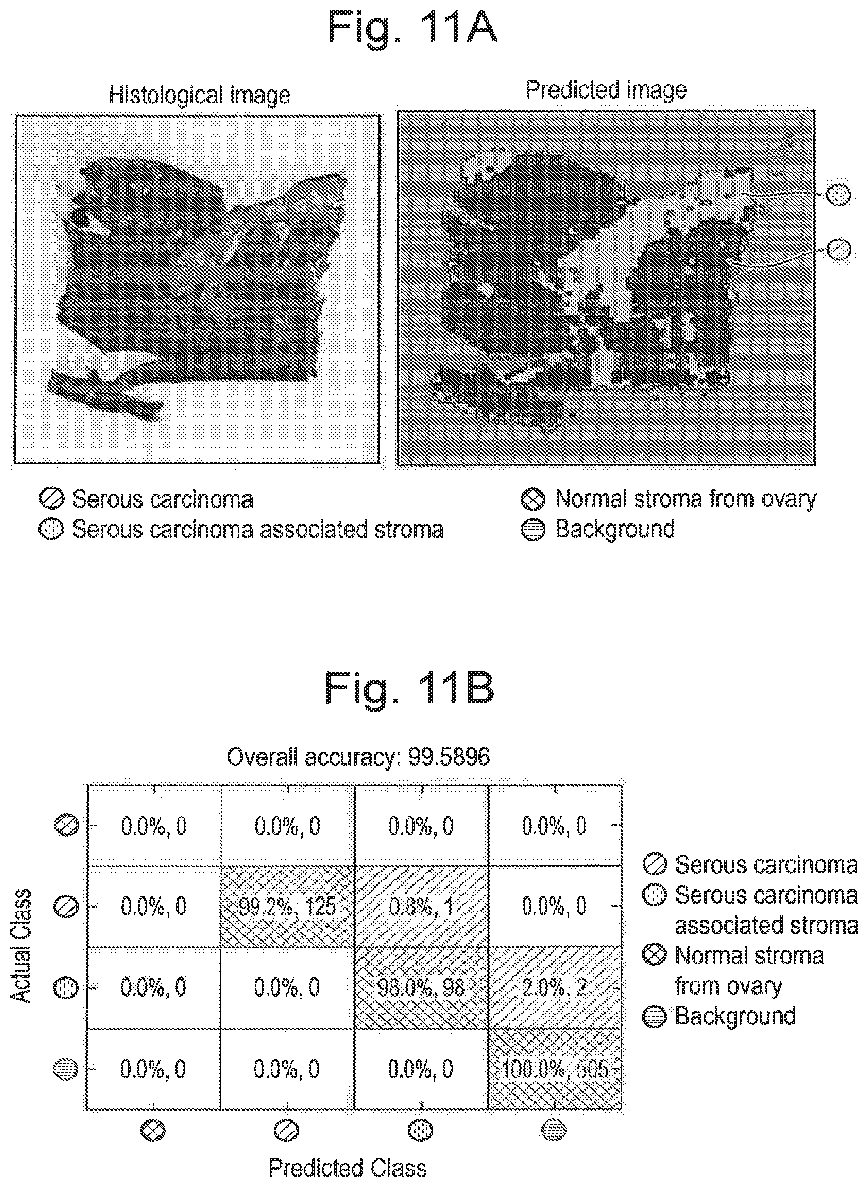Patent US12315714 Figure 12 – Tissue analysis by mass spectrometry or ion mobility spectrometry