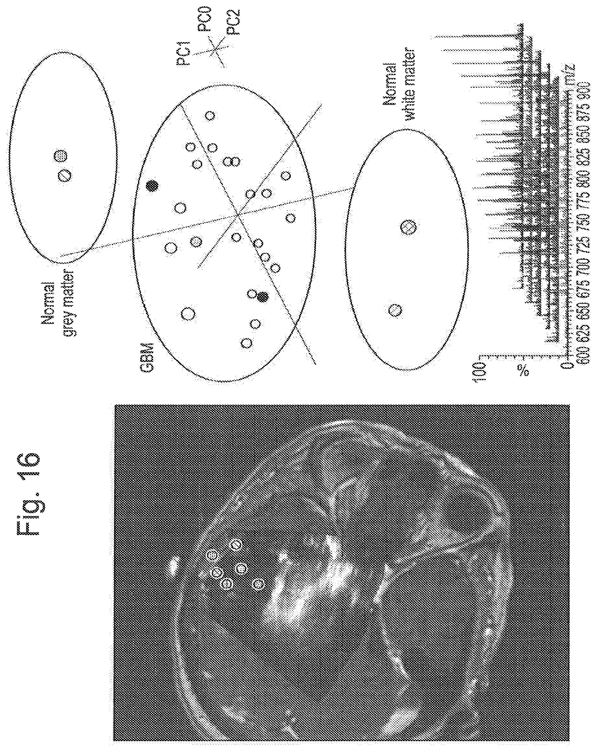 Patent US12315714 Figure 18 – Tissue analysis by mass spectrometry or ion mobility spectrometry