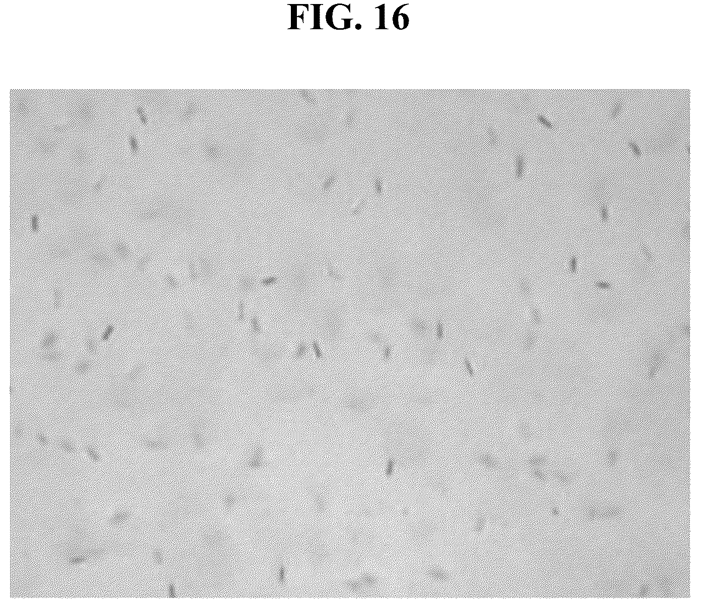 Patent US12315850 Figure 16 – Light-emitting element ink, display device, and method of fabricating the display device