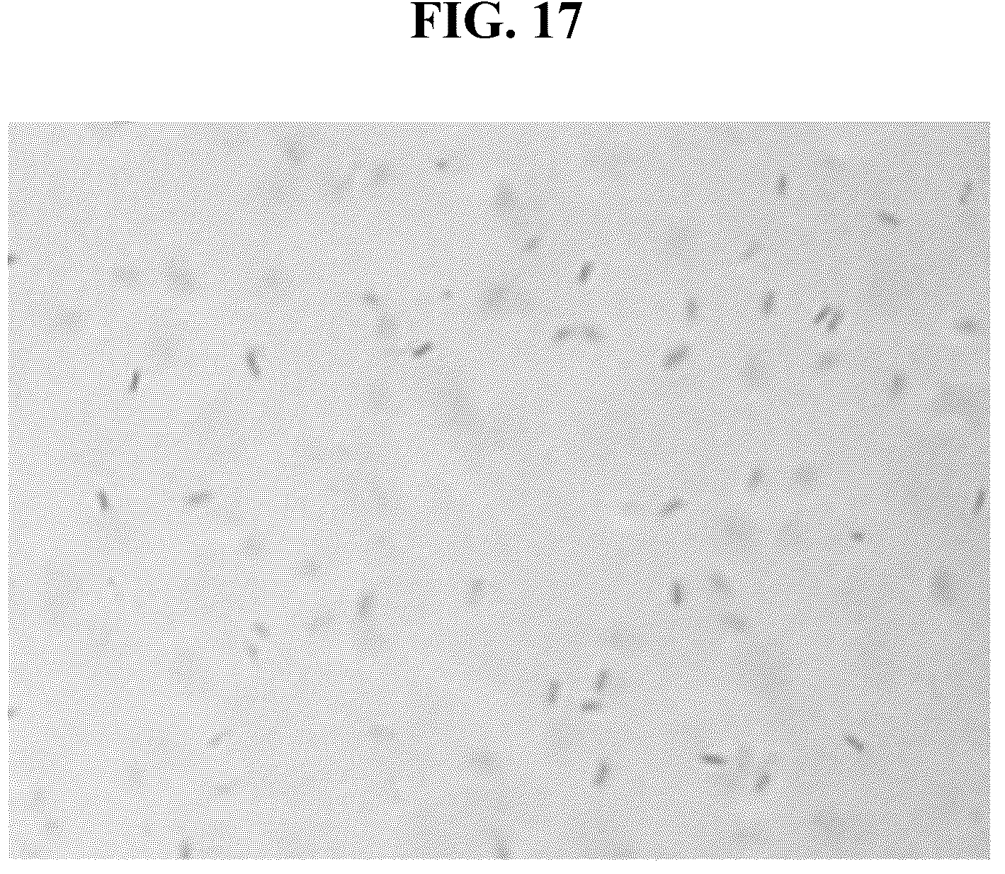 Patent US12315850 Figure 17 – Light-emitting element ink, display device, and method of fabricating the display device