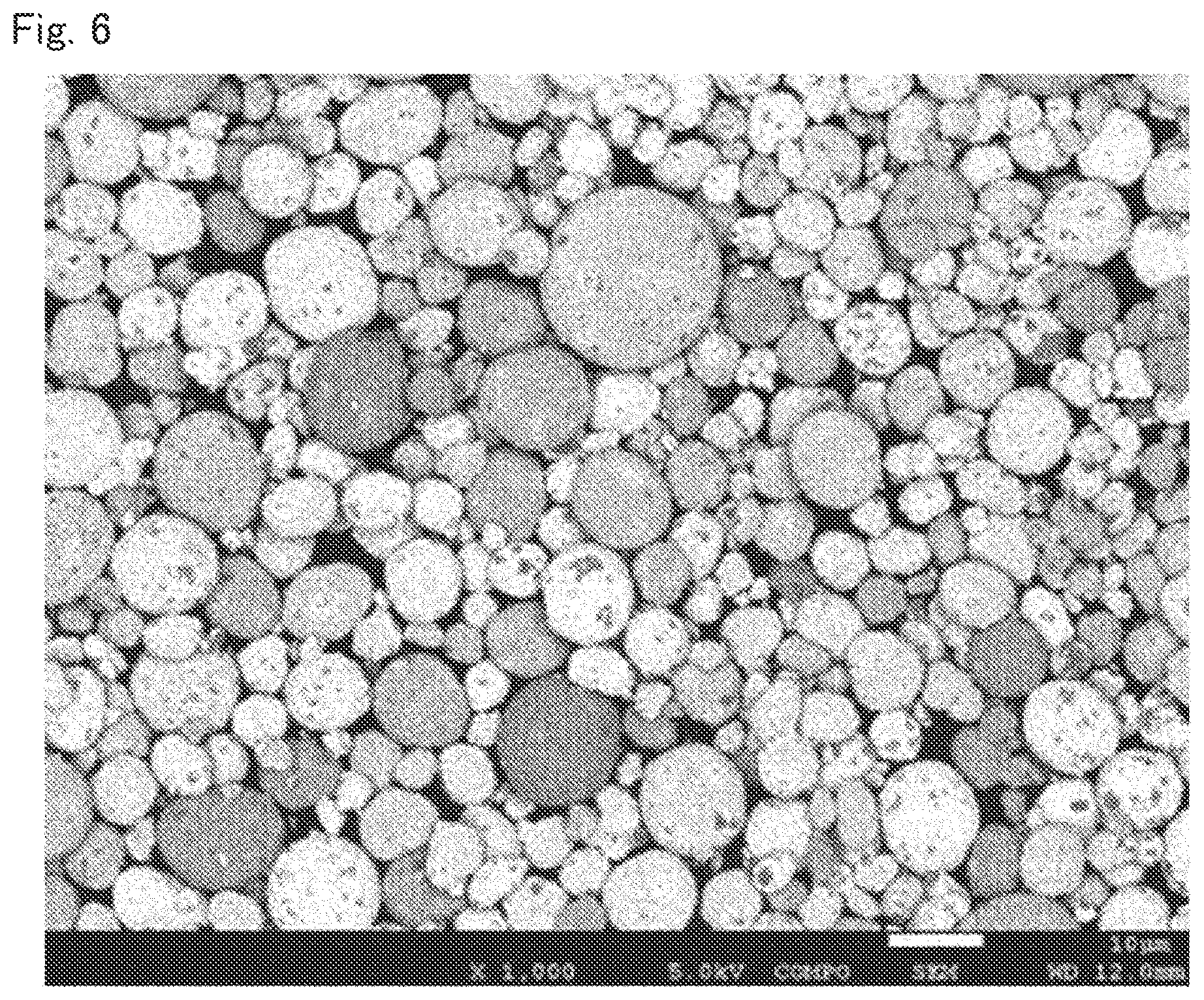 Patent US12315909 Figure 6 – Positive electrode active material for lithium ion secondary battery, method for producing the same, and lithium ion secondary battery