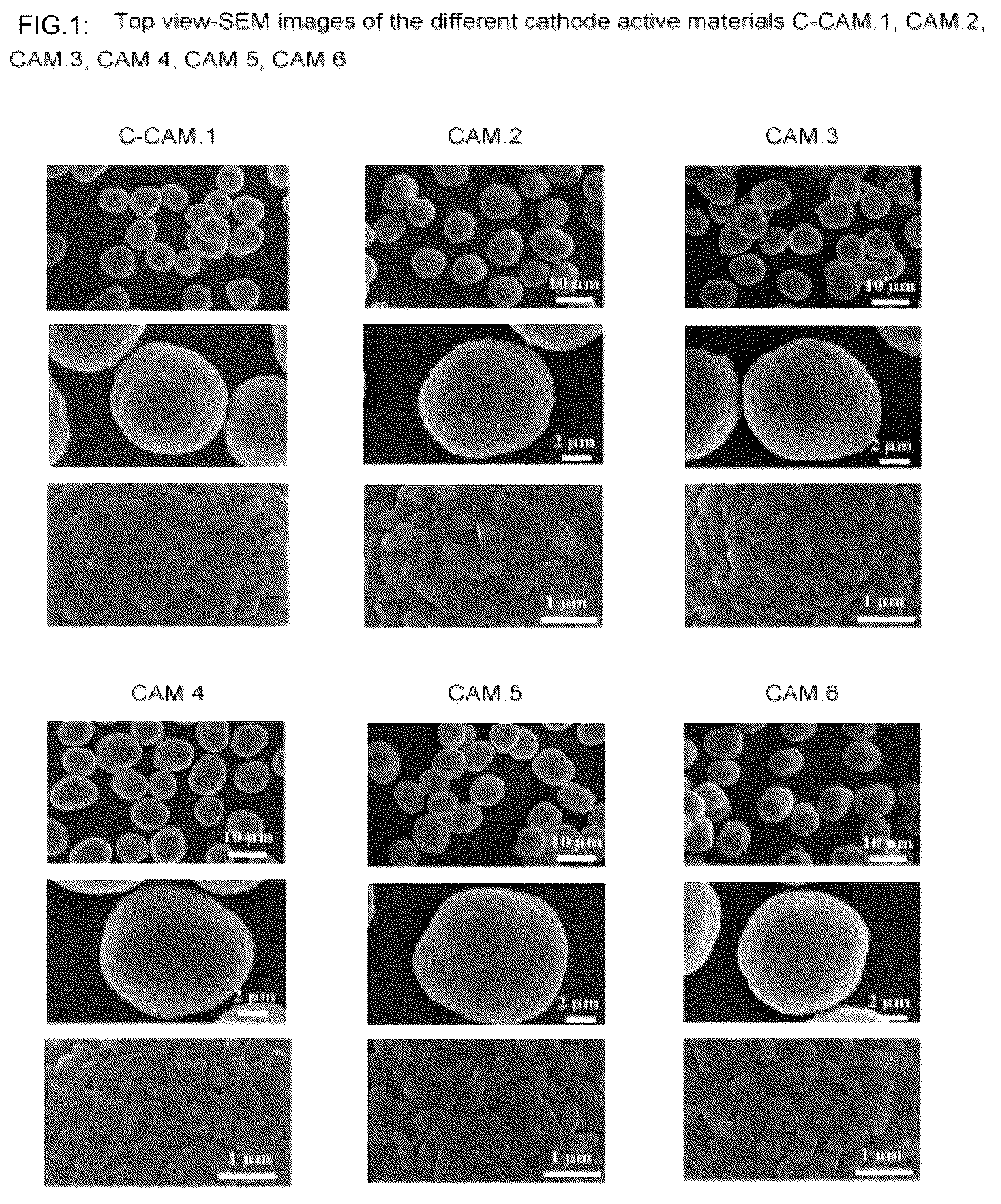 Patent US12315925 Figure 1 – Electrode active materials and method for their manufacture
