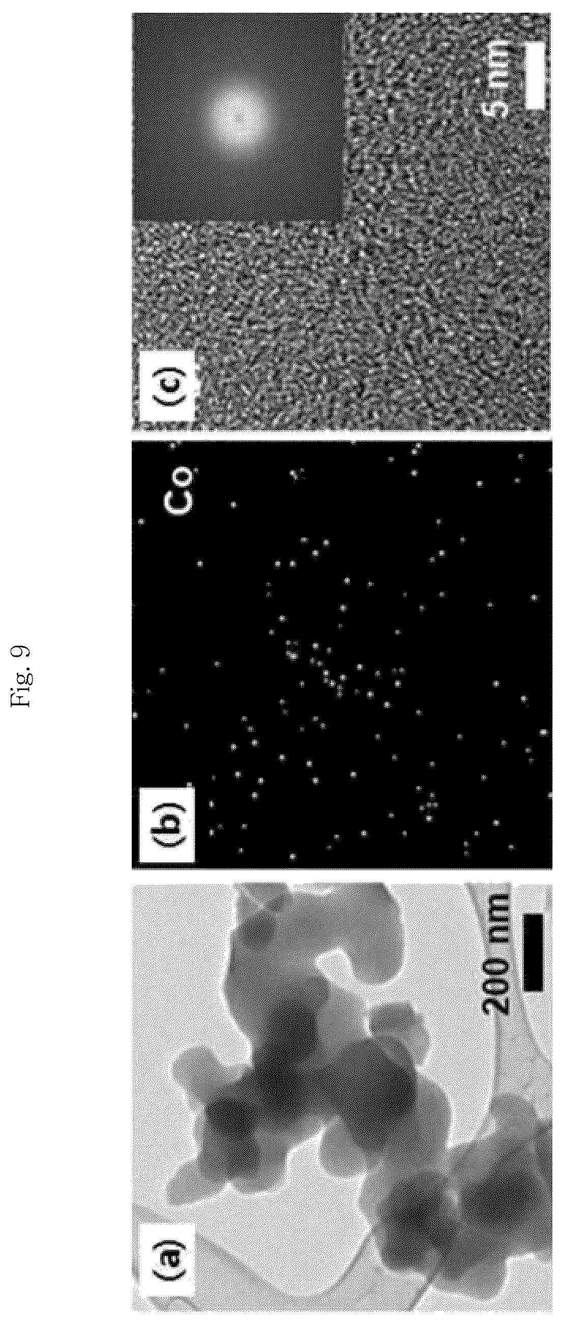 Patent US12315939 Figure 9 – Metal-carbon composite catalyst, preparation method therefor, and zinc-air battery comprising same
