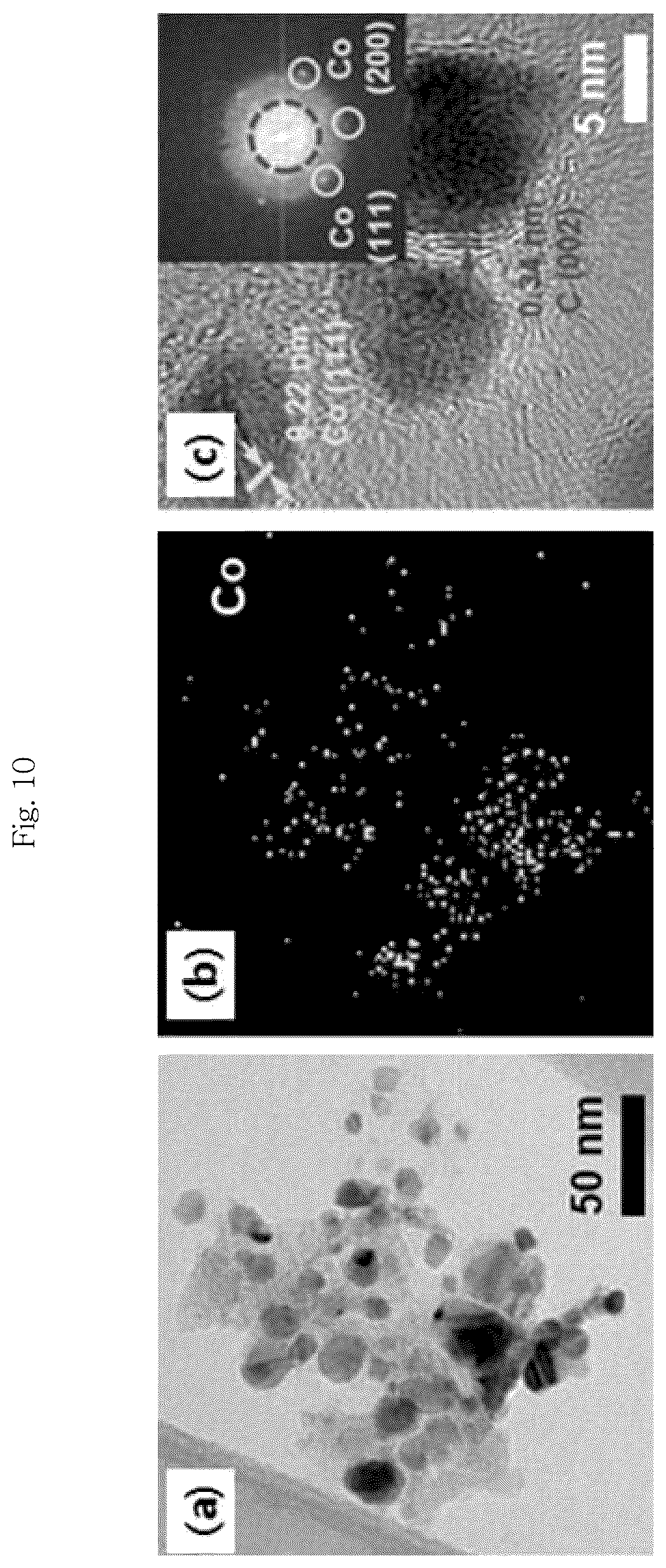 Patent US12315939 Figure 10 – Metal-carbon composite catalyst, preparation method therefor, and zinc-air battery comprising same