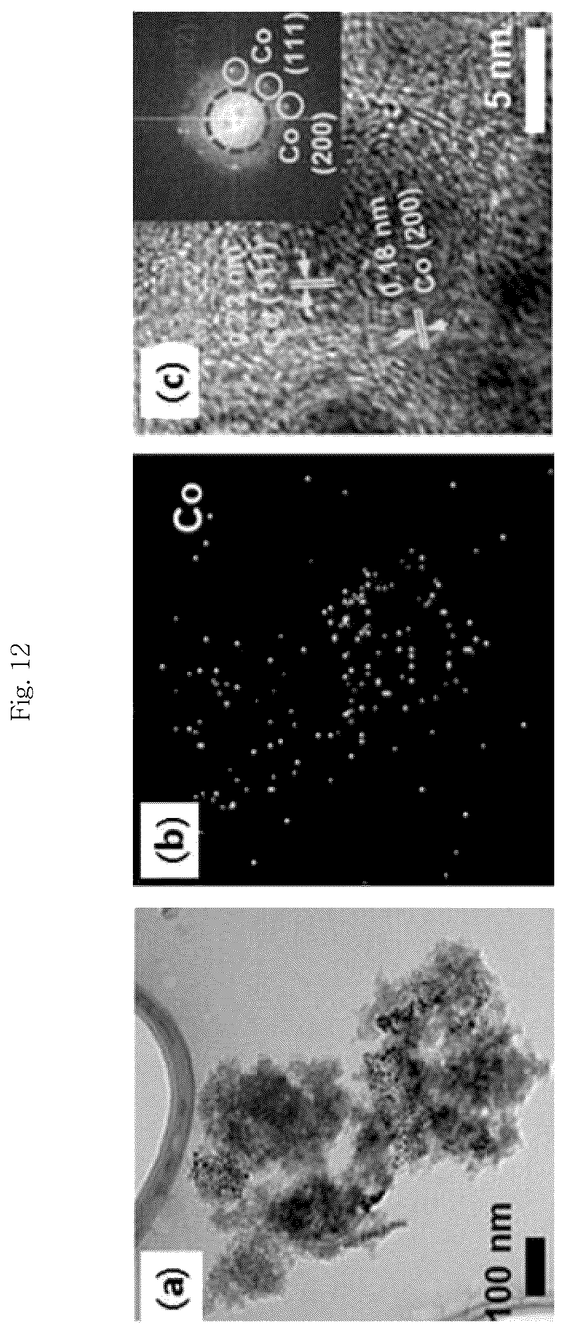Patent US12315939 Figure 12 – Metal-carbon composite catalyst, preparation method therefor, and zinc-air battery comprising same