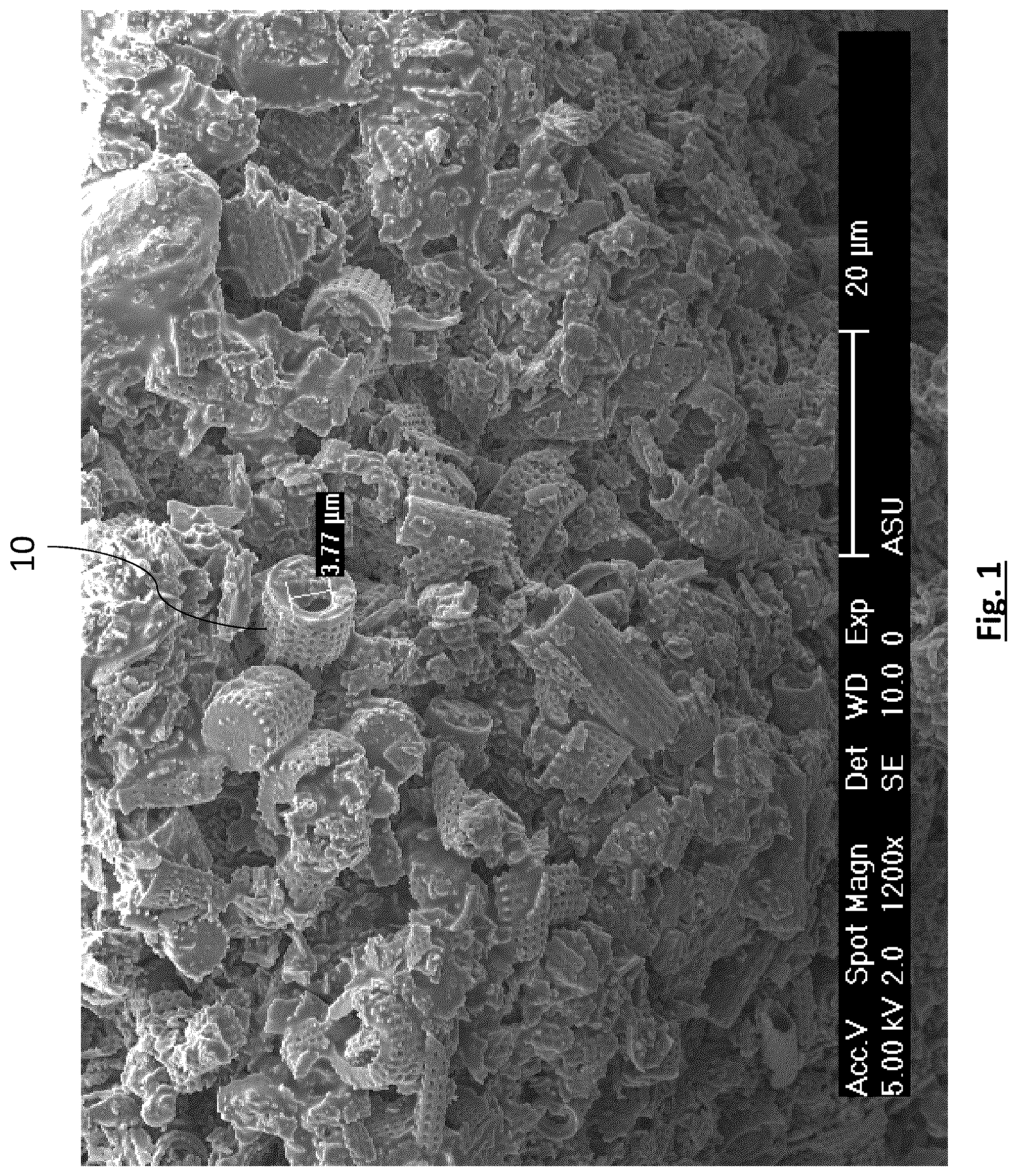 Patent US12315941 Figure 1 – Diatomaceous energy storage devices