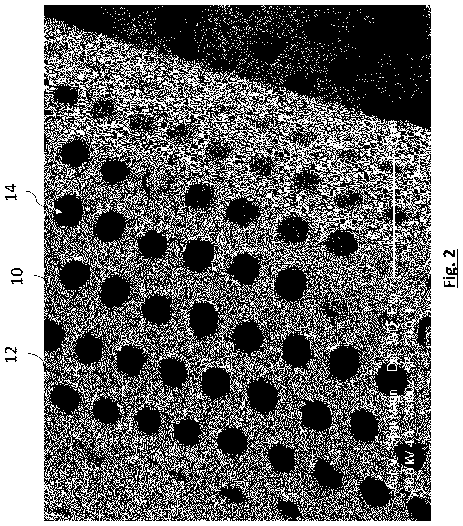 Patent US12315941 Figure 2 – Diatomaceous energy storage devices