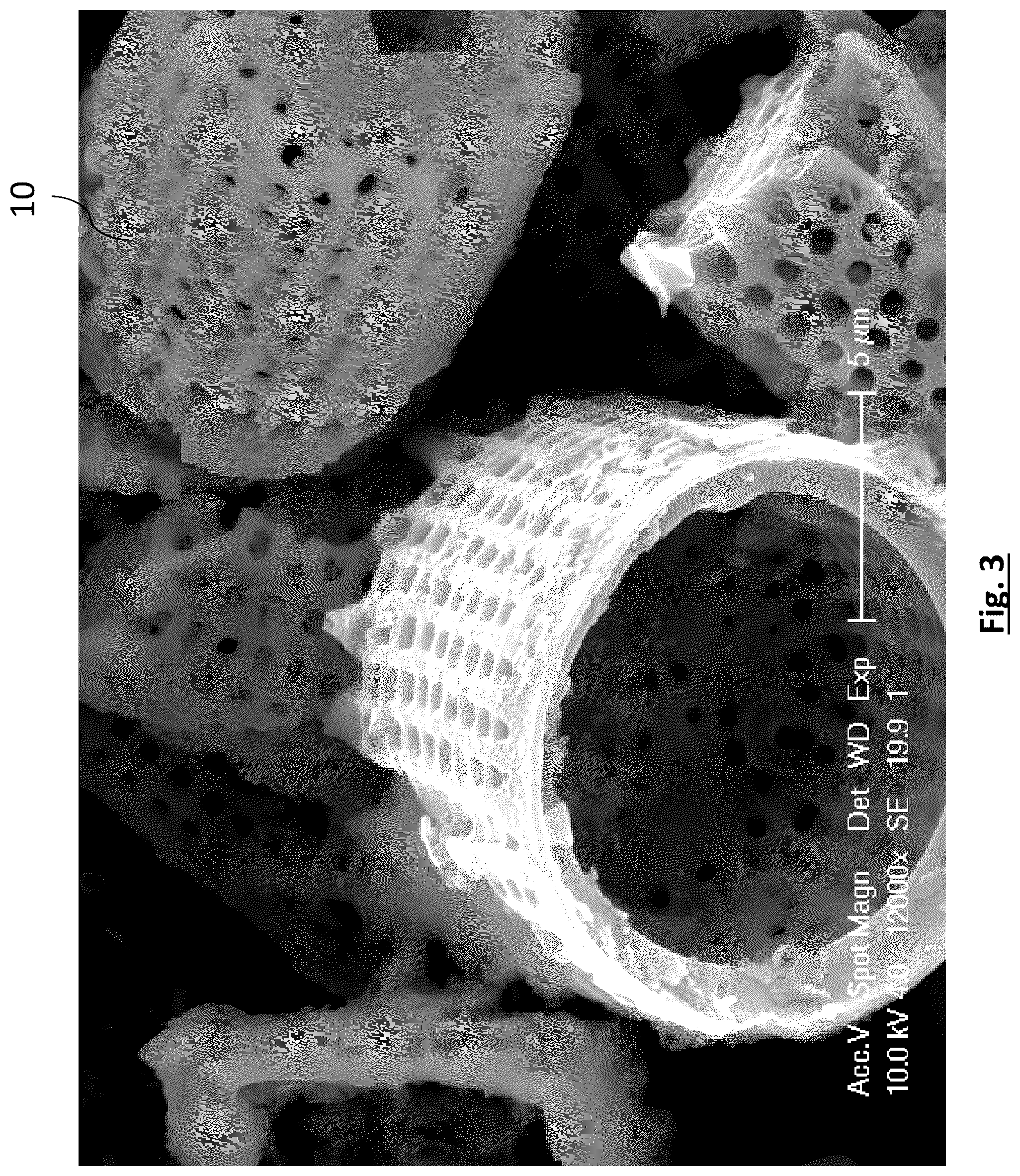 Patent US12315941 Figure 3 – Diatomaceous energy storage devices