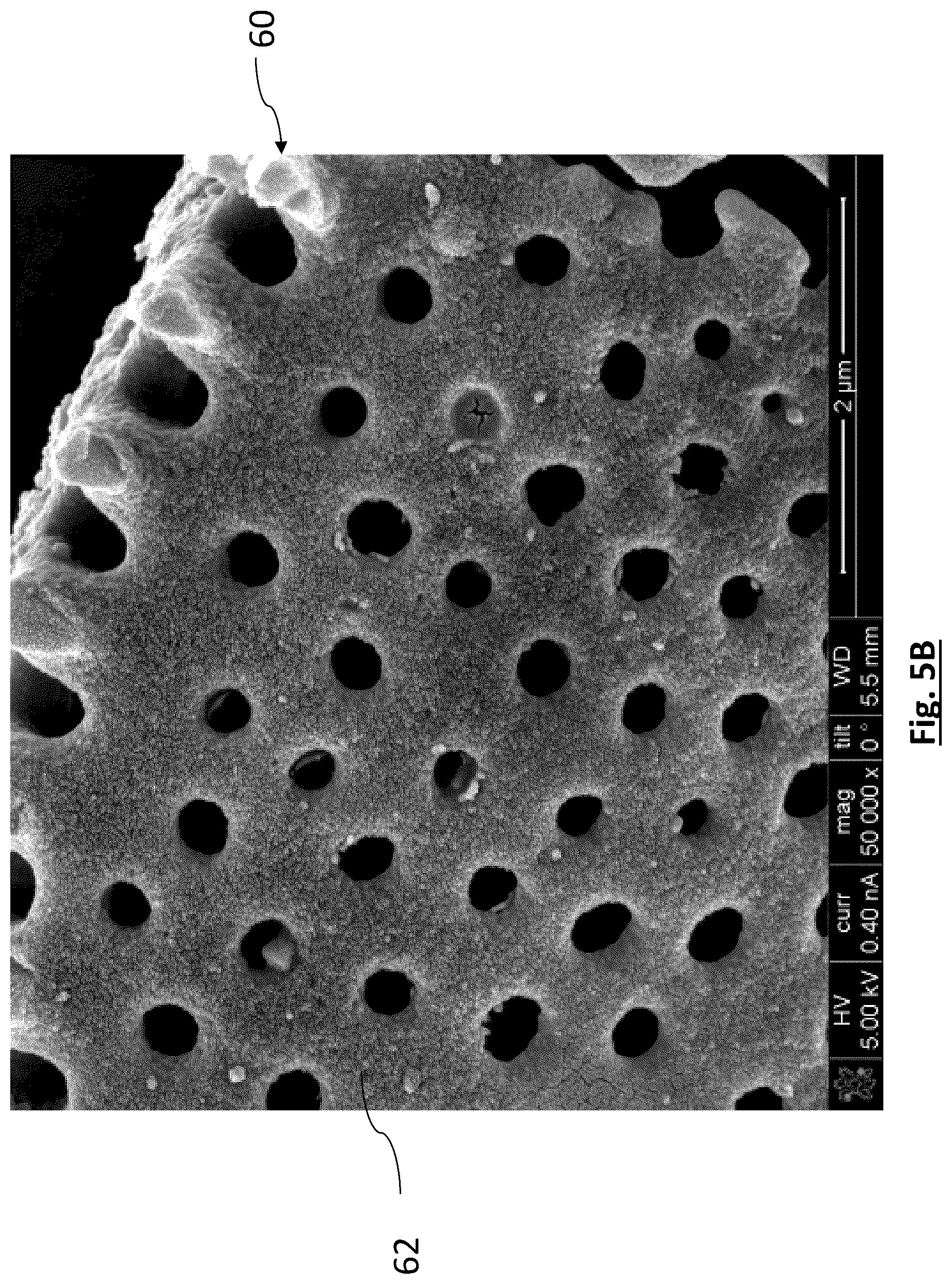Patent US12315941 Figure 7 – Diatomaceous energy storage devices