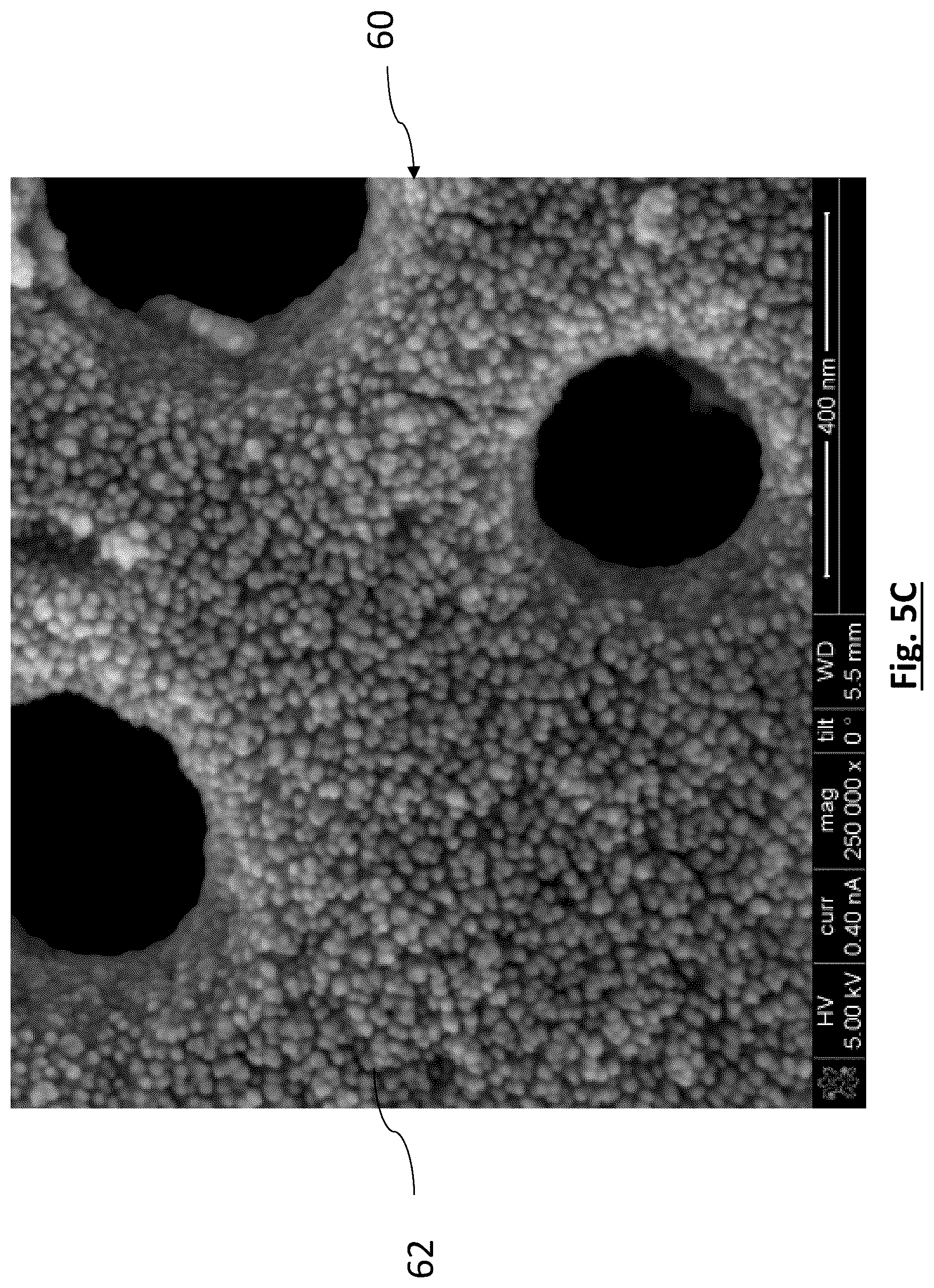 Patent US12315941 Figure 8 – Diatomaceous energy storage devices