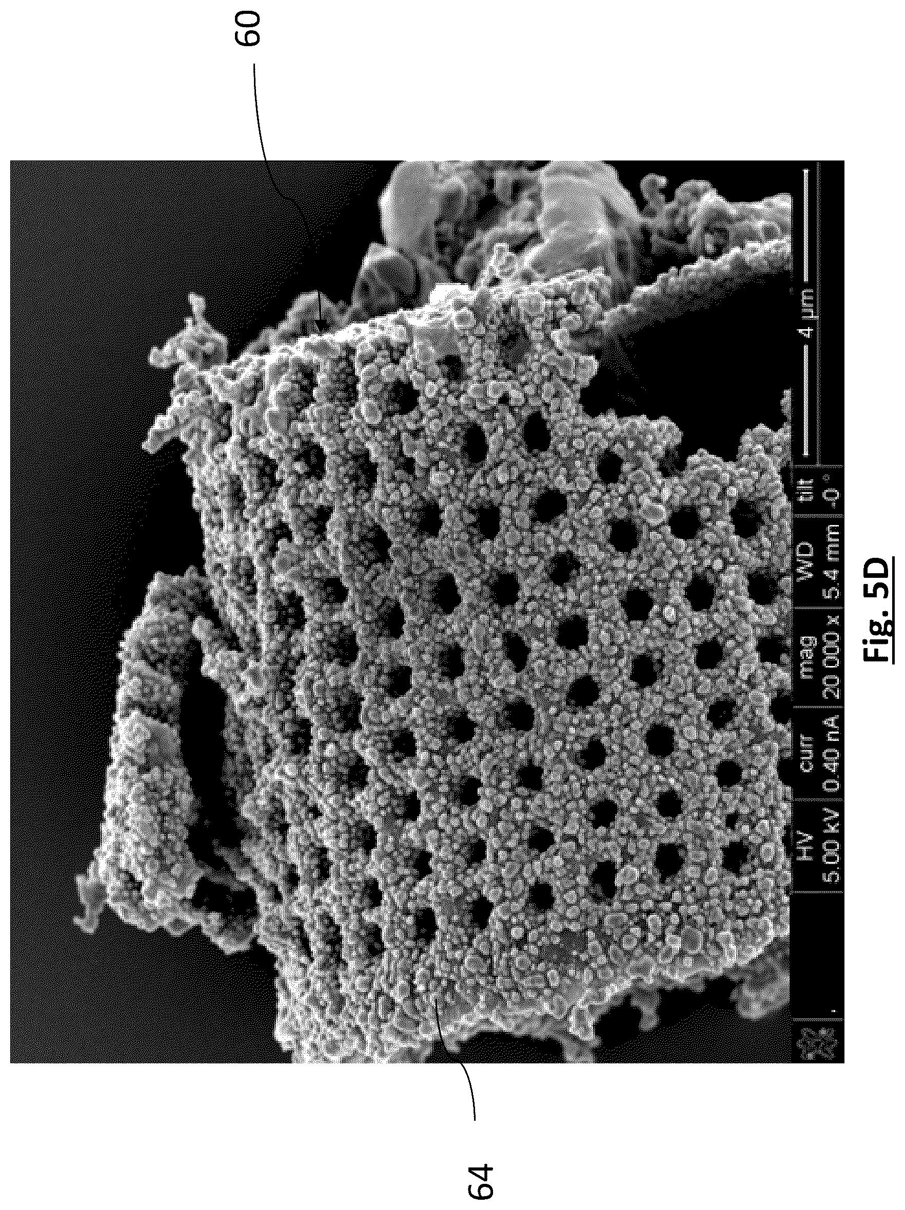 Patent US12315941 Figure 9 – Diatomaceous energy storage devices