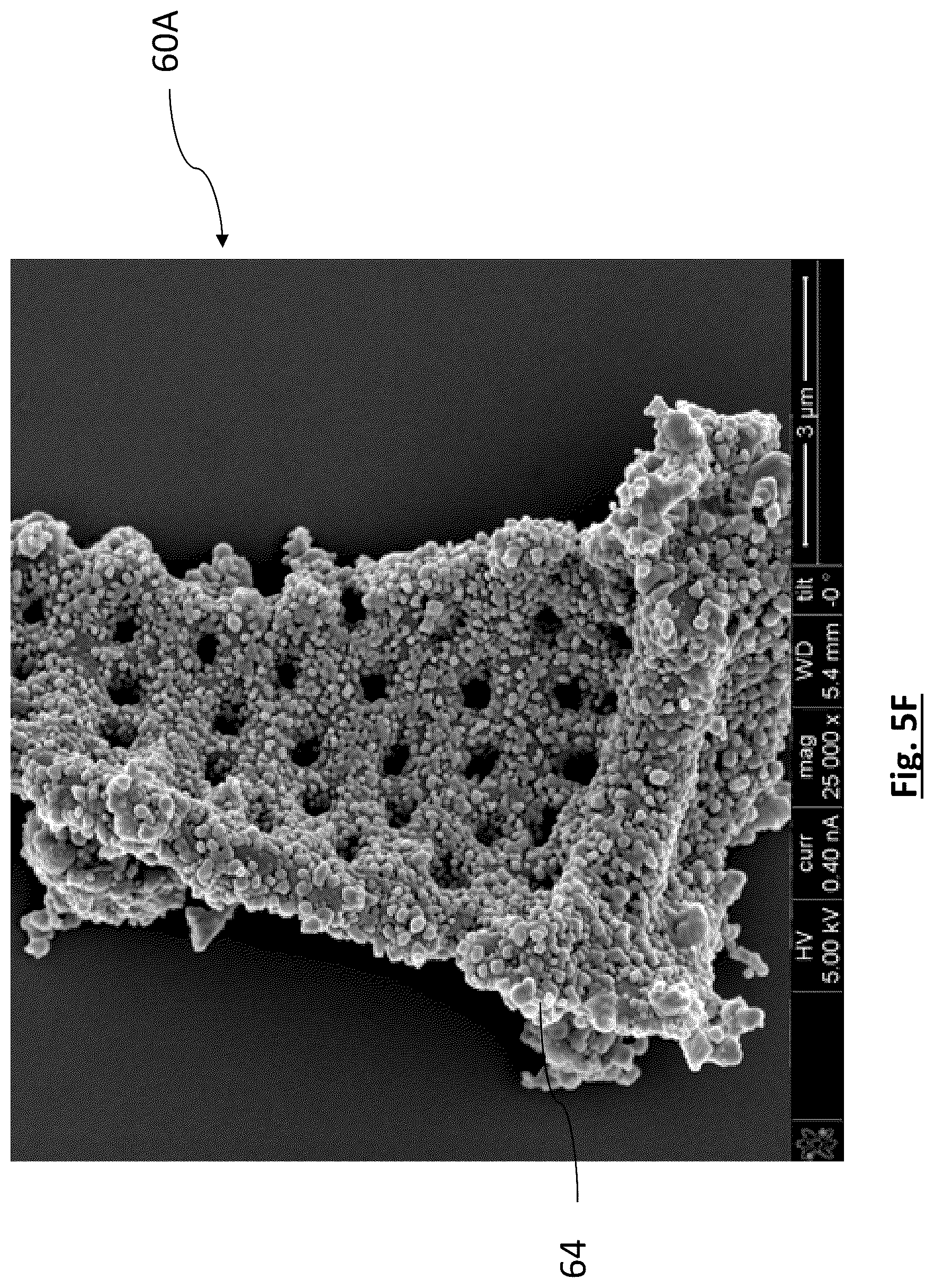 Patent US12315941 Figure 11 – Diatomaceous energy storage devices