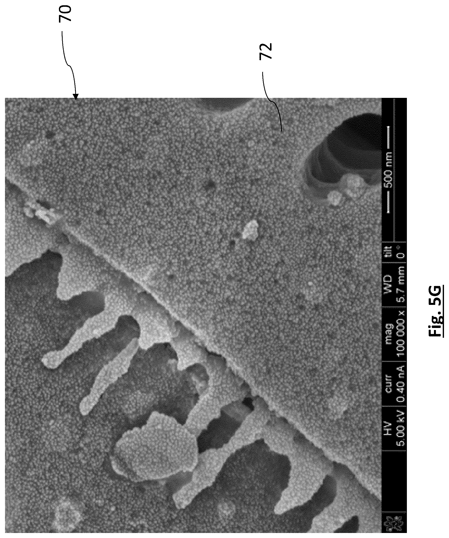 Patent US12315941 Figure 12 – Diatomaceous energy storage devices