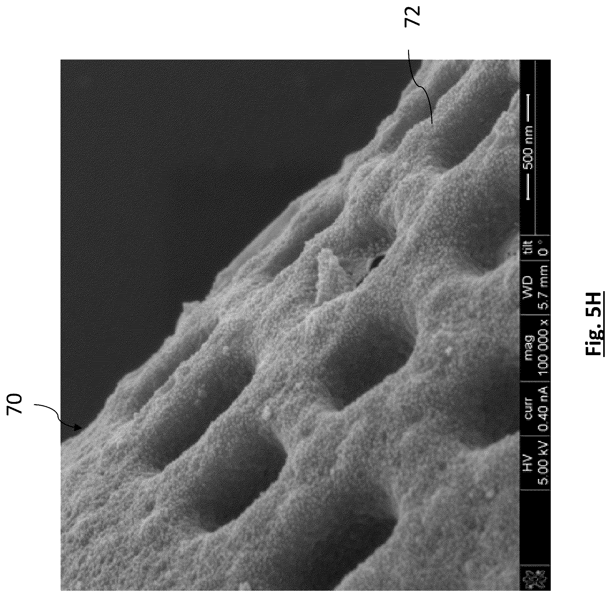 Patent US12315941 Figure 13 – Diatomaceous energy storage devices