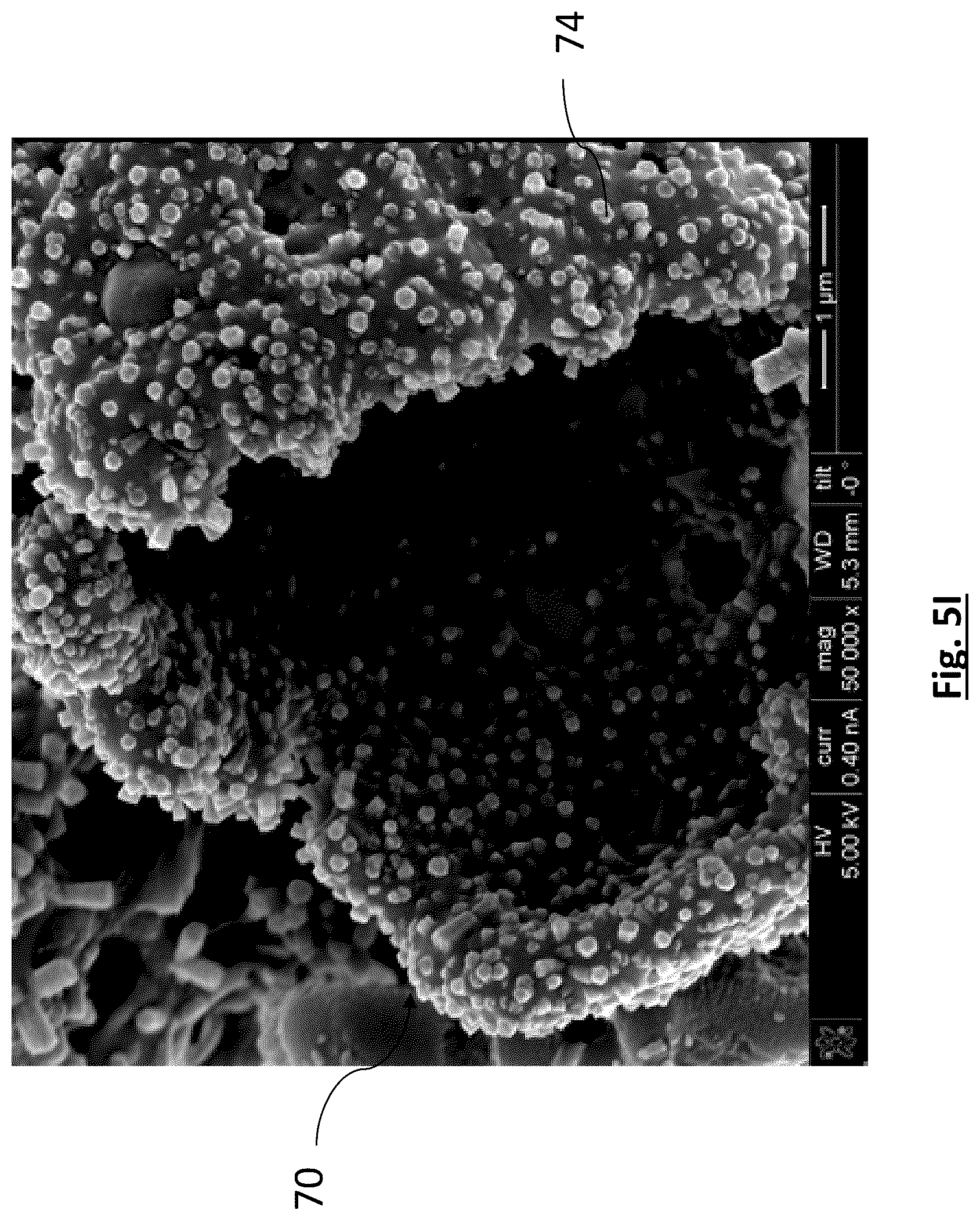 Patent US12315941 Figure 14 – Diatomaceous energy storage devices