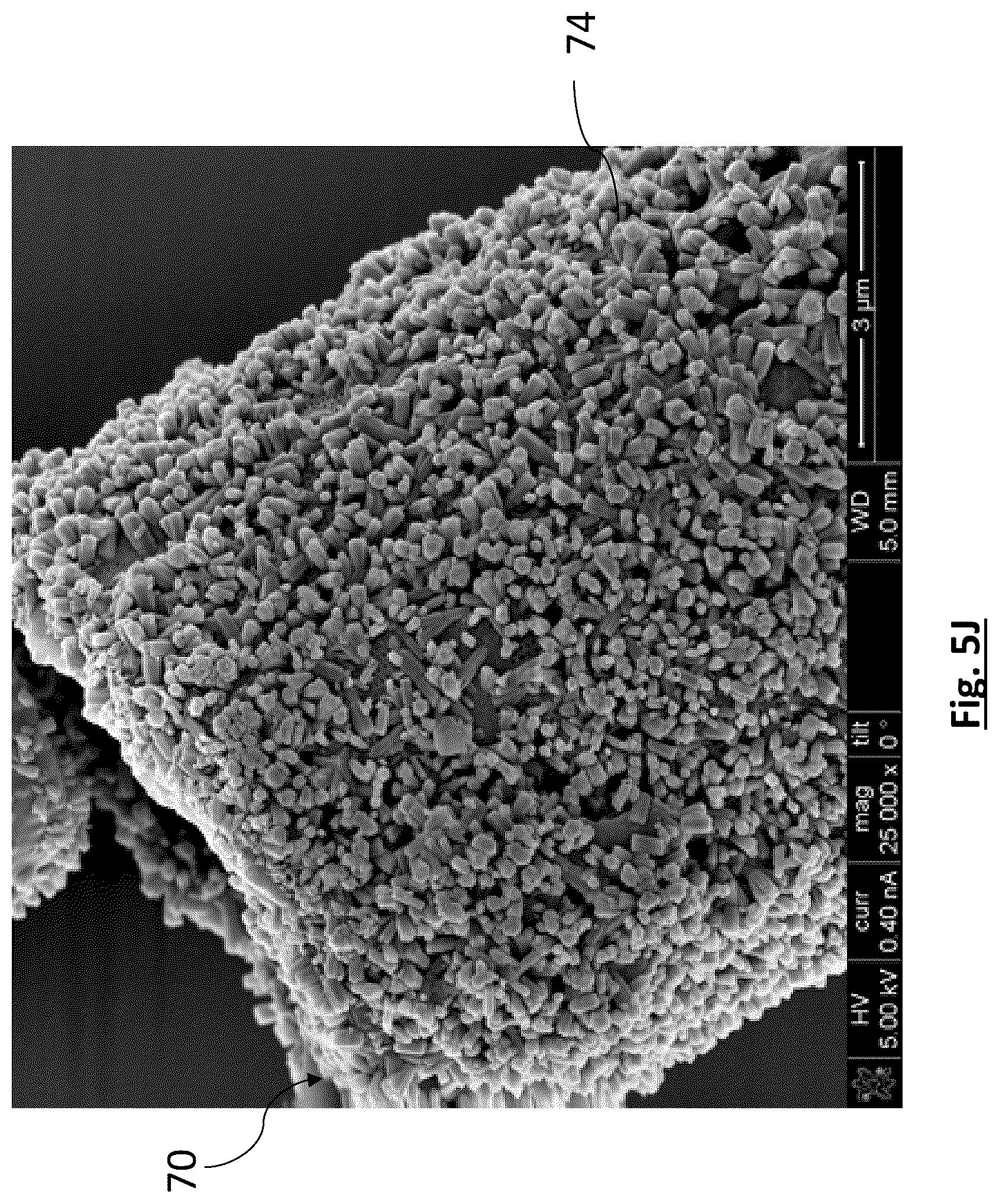 Patent US12315941 Figure 15 – Diatomaceous energy storage devices