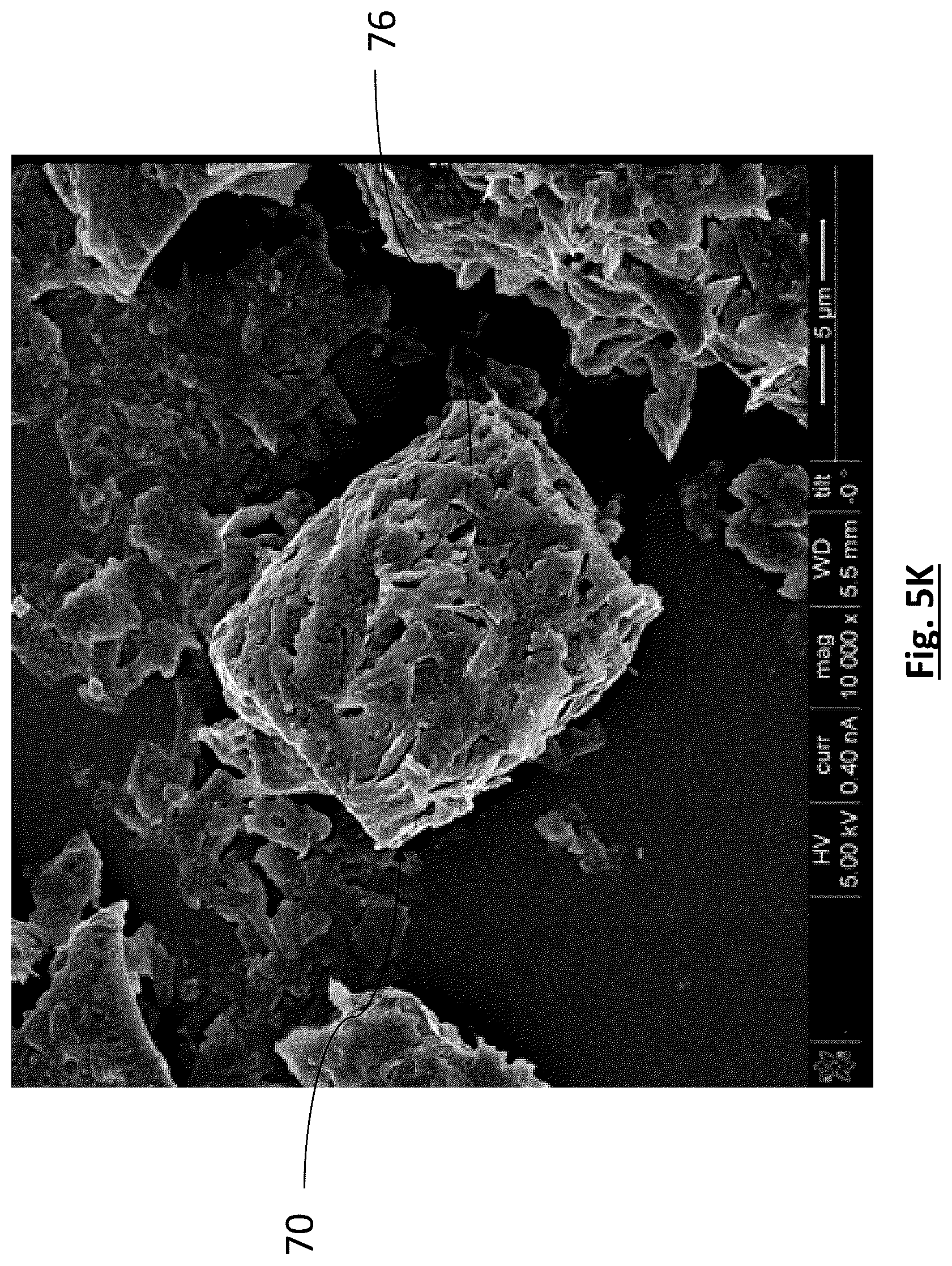 Patent US12315941 Figure 16 – Diatomaceous energy storage devices