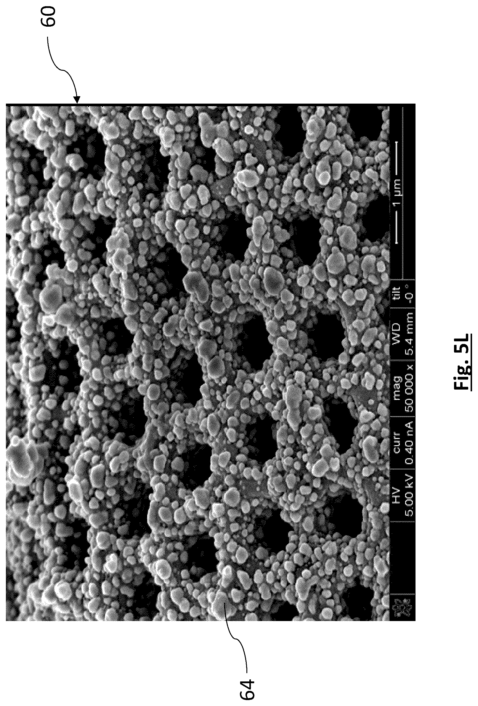 Patent US12315941 Figure 17 – Diatomaceous energy storage devices