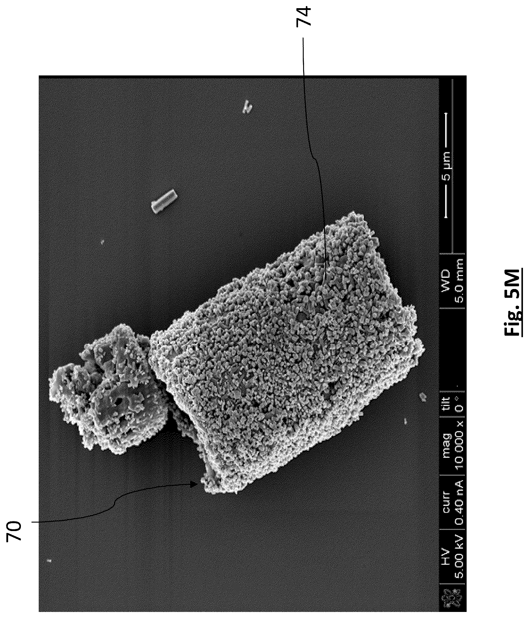Patent US12315941 Figure 18 – Diatomaceous energy storage devices