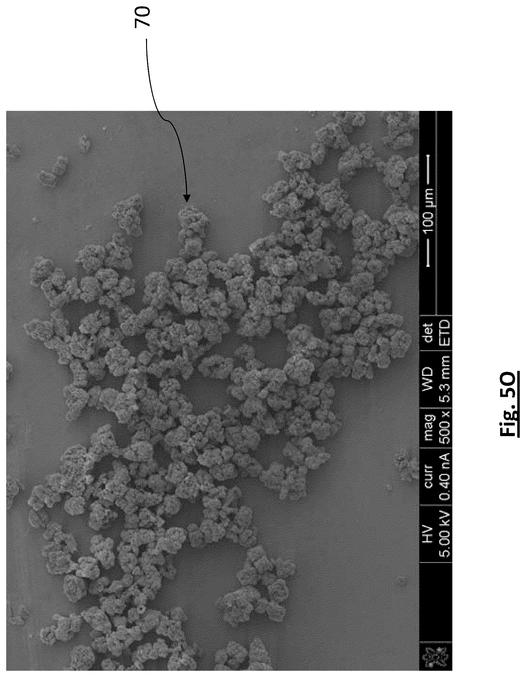 Patent US12315941 Figure 20 – Diatomaceous energy storage devices