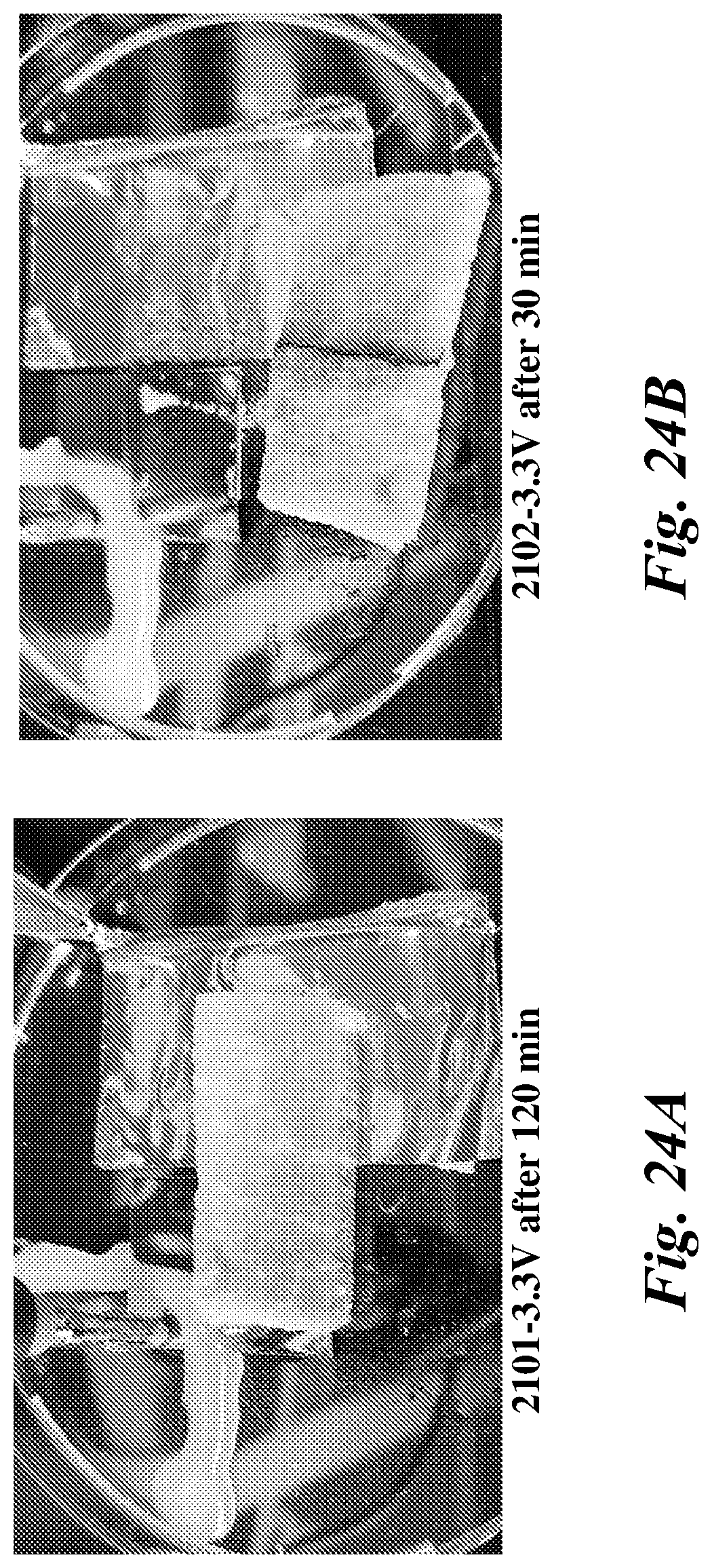 Patent US12315942 Figure 19 – Safely ingestible batteries that rapidly deactivate in biological environments and methods of making same