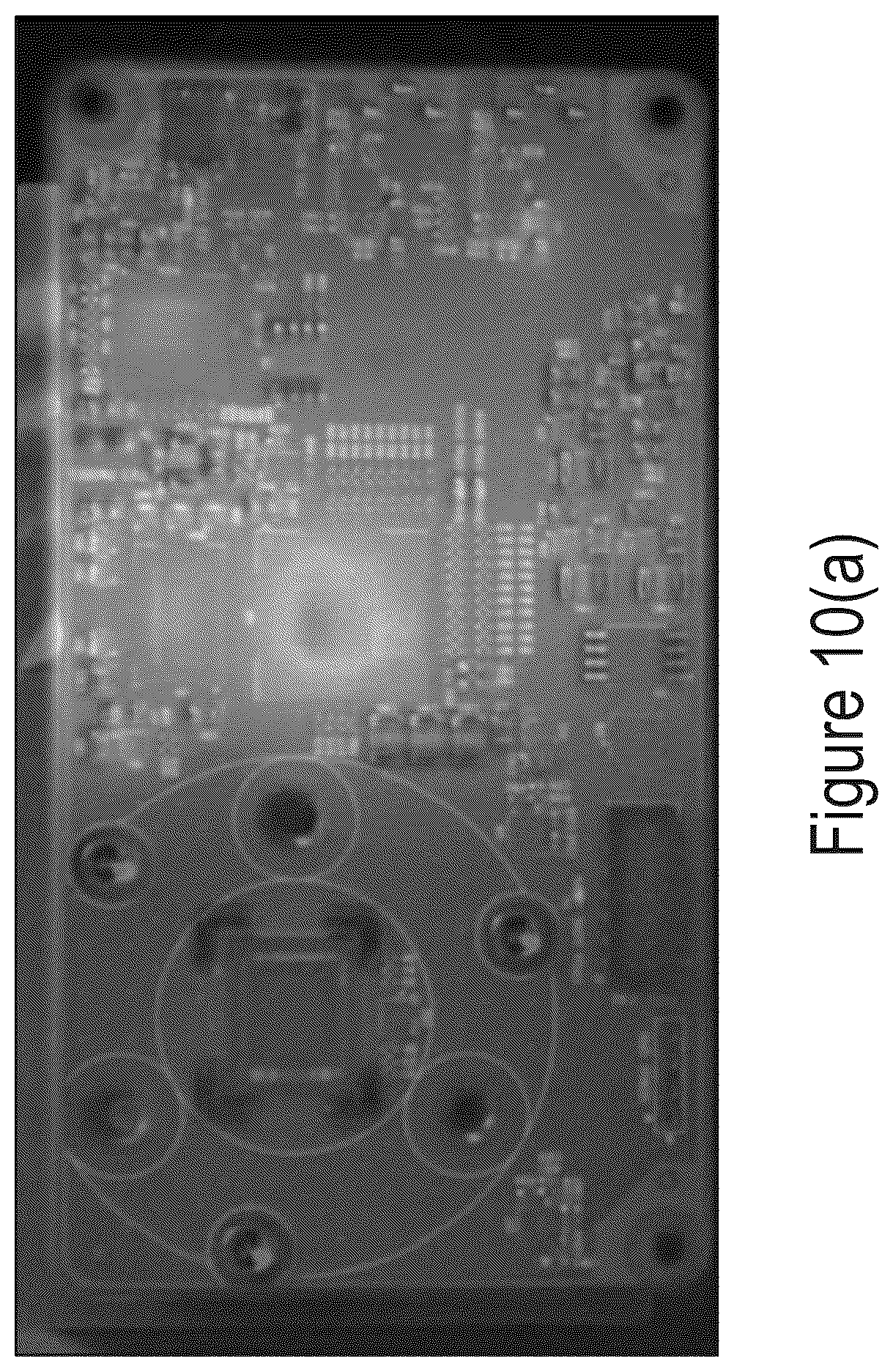 Patent US12316935 Figure 12 – Electronic component assembly with thermally conductive structures for image sensors