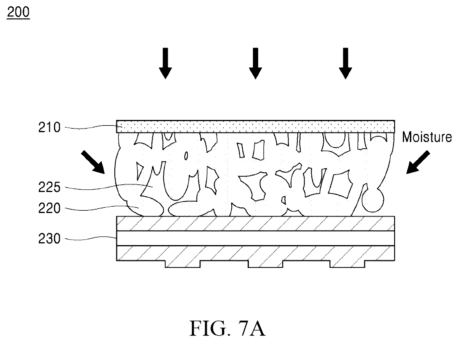 Patent US12317429 Figure 14 – Display module and display device