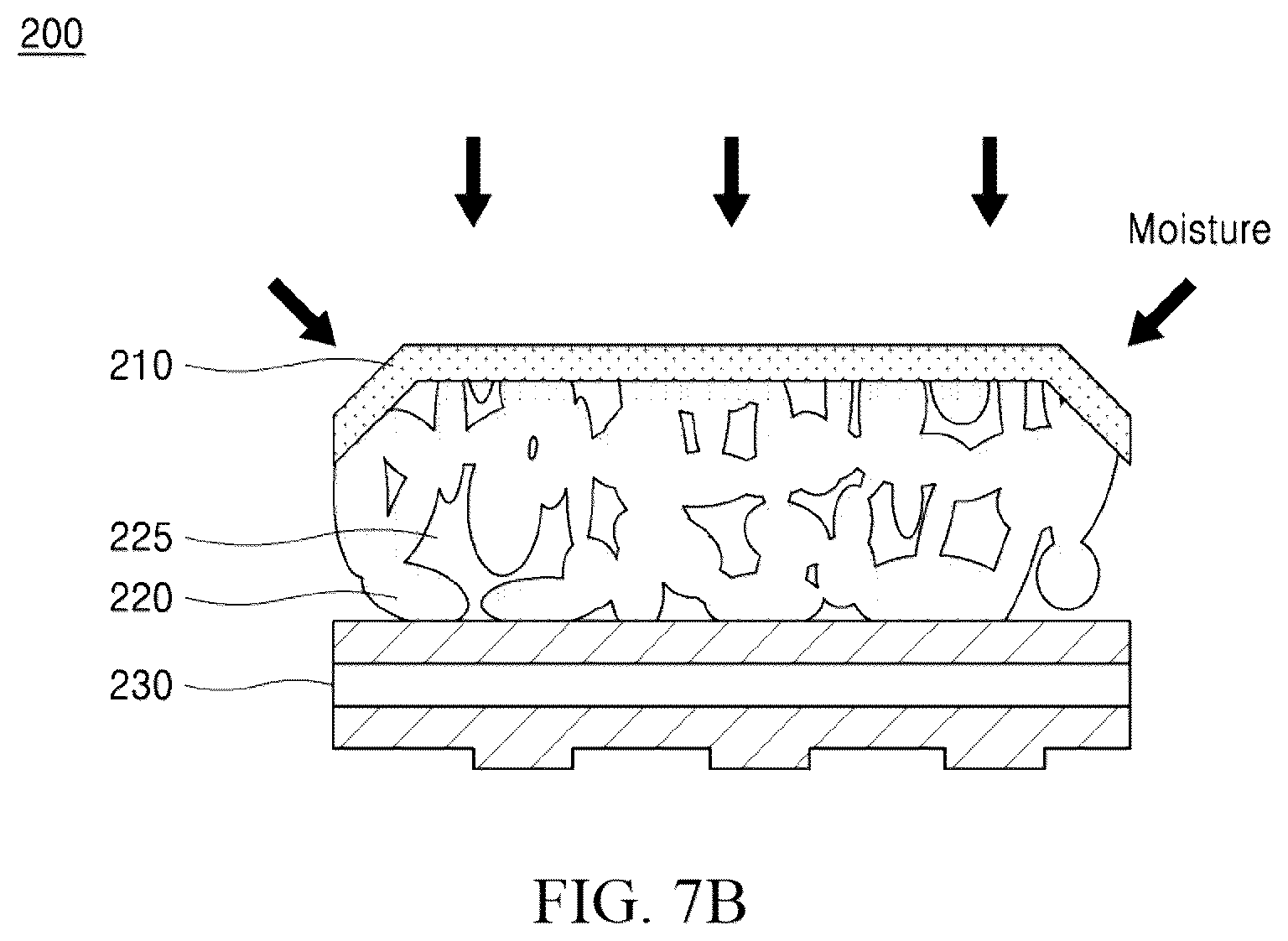 Patent US12317429 Figure 15 – Display module and display device