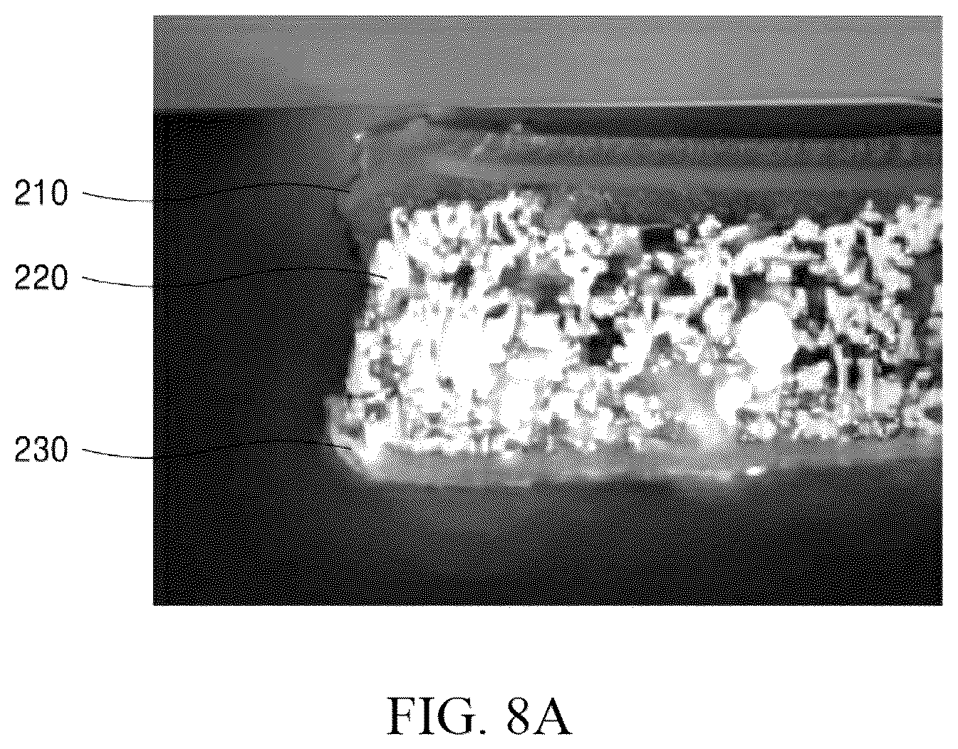Patent US12317429 Figure 16 – Display module and display device