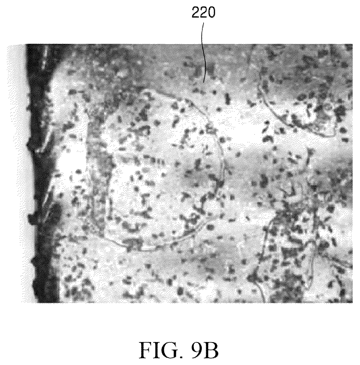 Patent US12317429 Figure 19 – Display module and display device