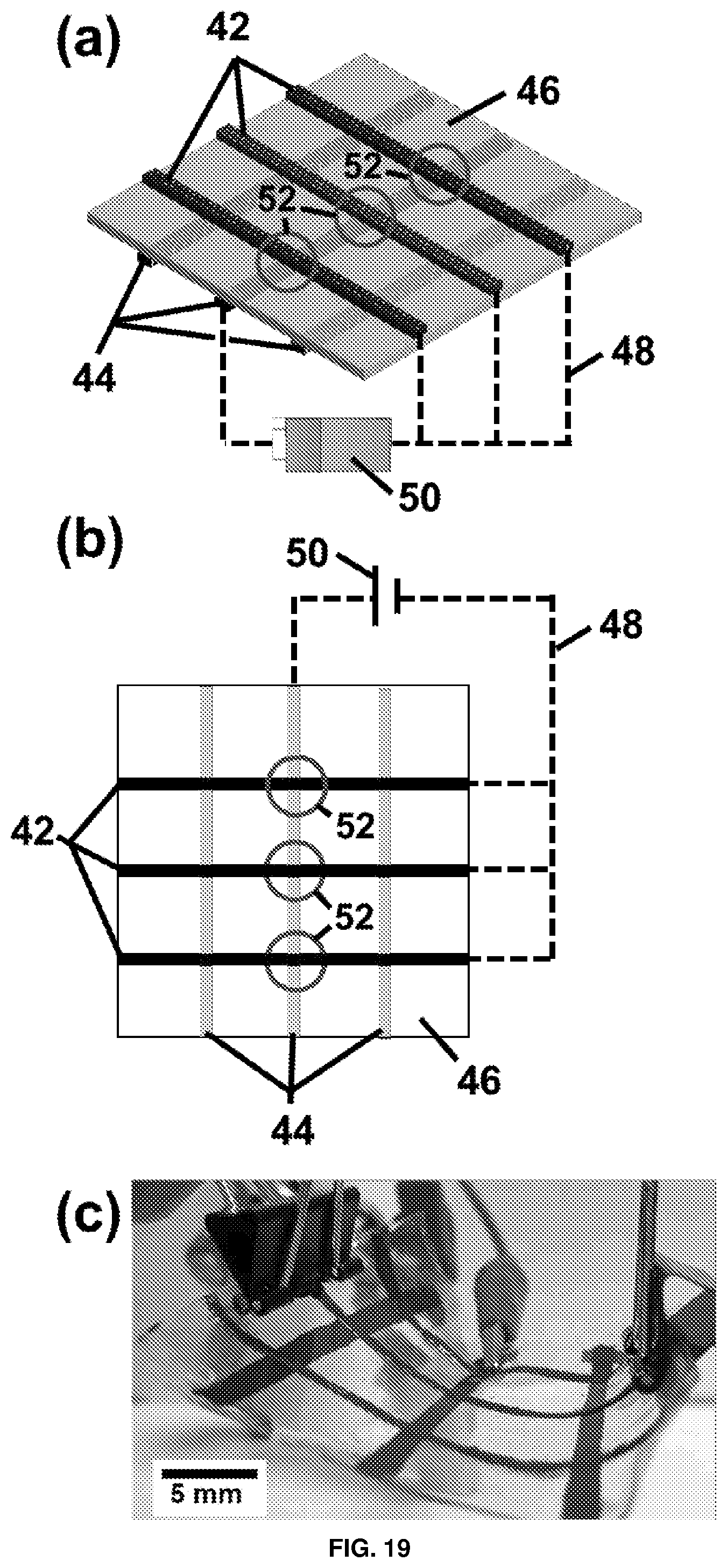 Patent US12317750 Figure 15 – Buckling dielectric elastomer actuator