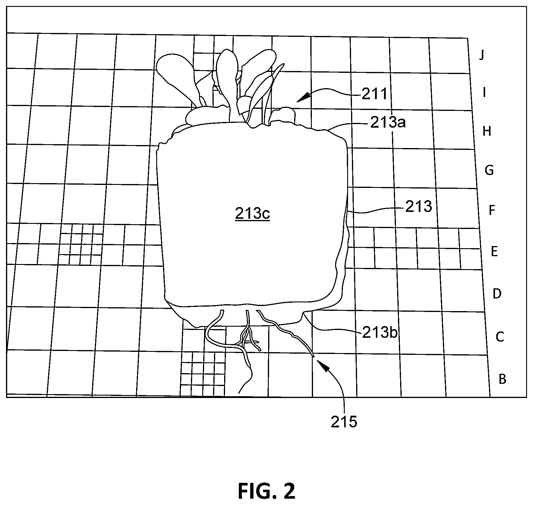 Patent US12317788 Figure 2 – Gel-based horticultural plug